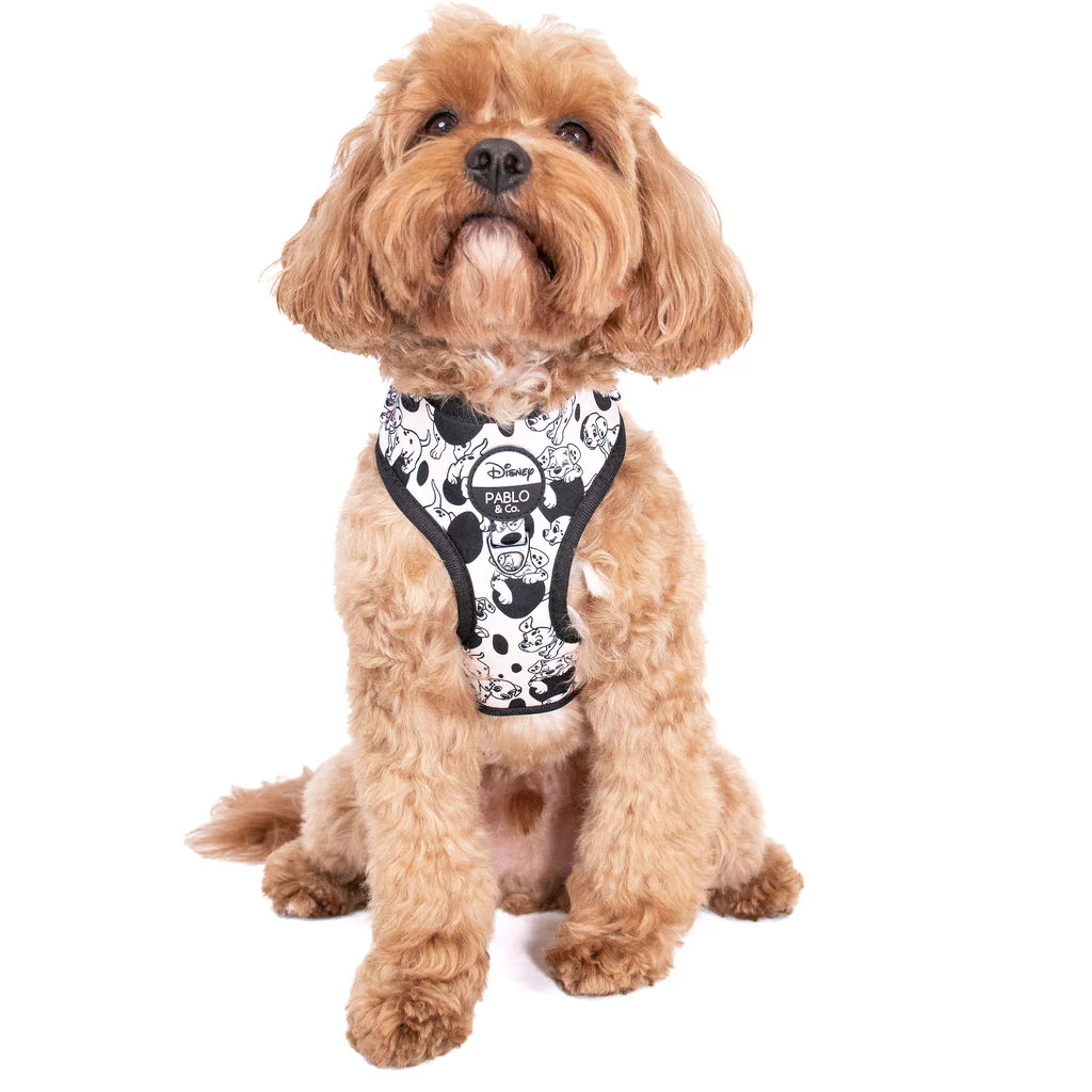 101 Dalmatians: Adjustable Harness - Image 4