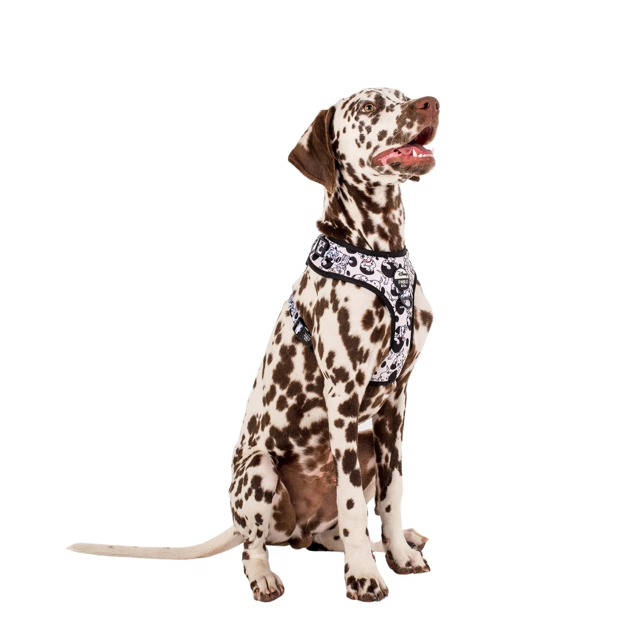 101 Dalmatians: Adjustable Harness - Image 5