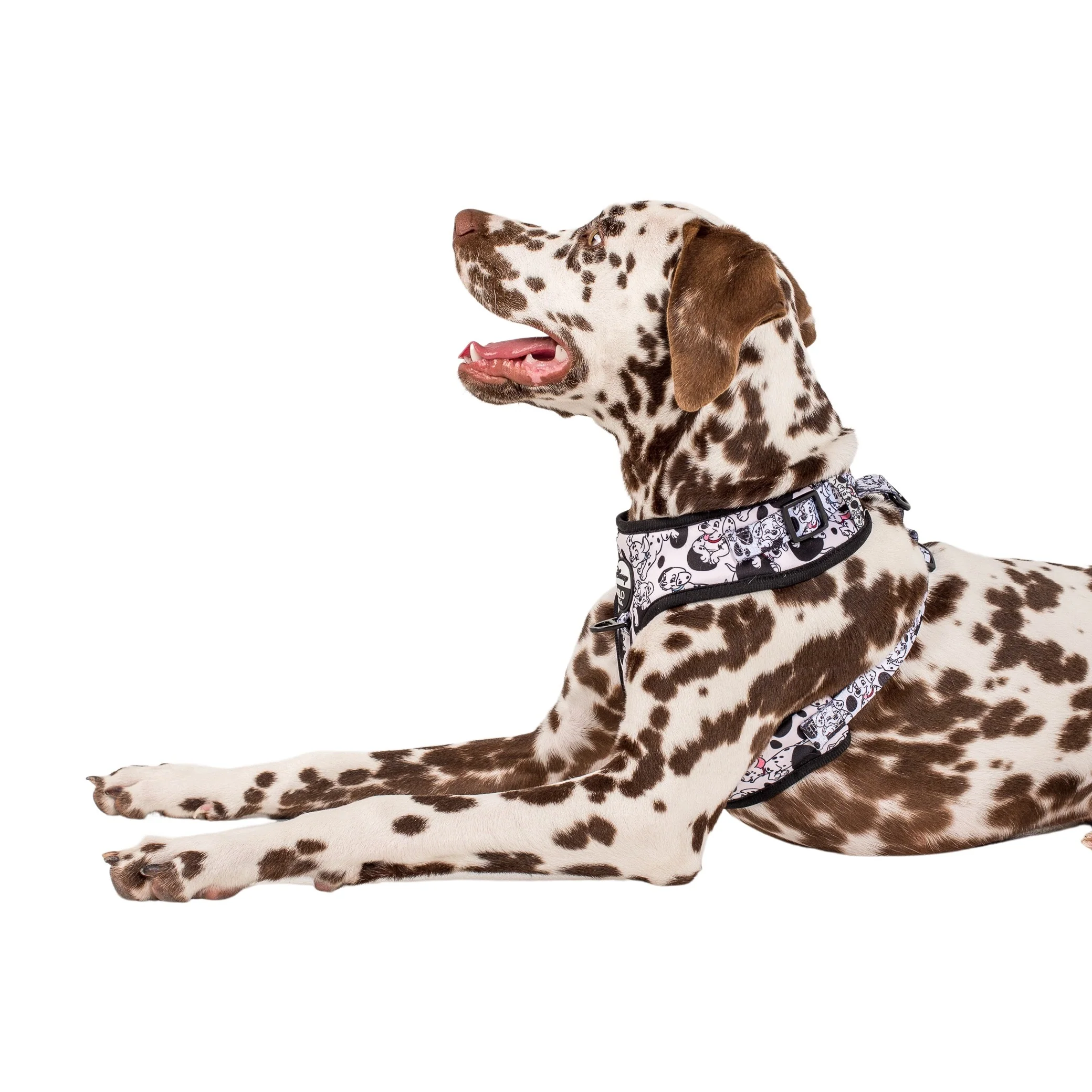 101 Dalmatians: Adjustable Harness - Image 7