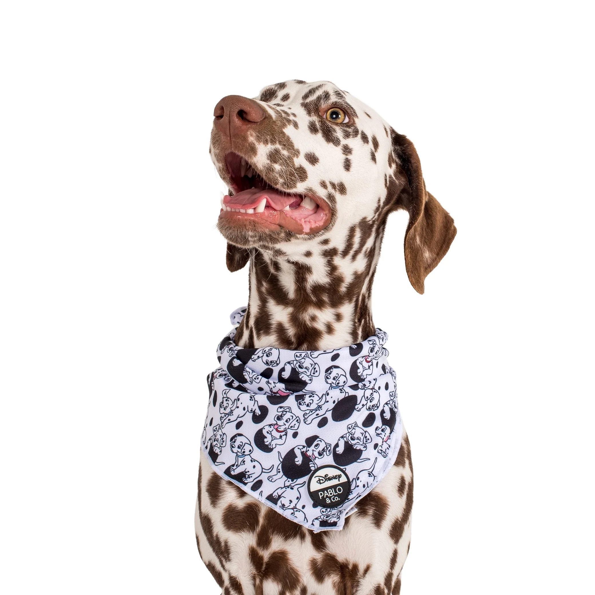 101 Dalmatians: Dog Bandana - Image 4