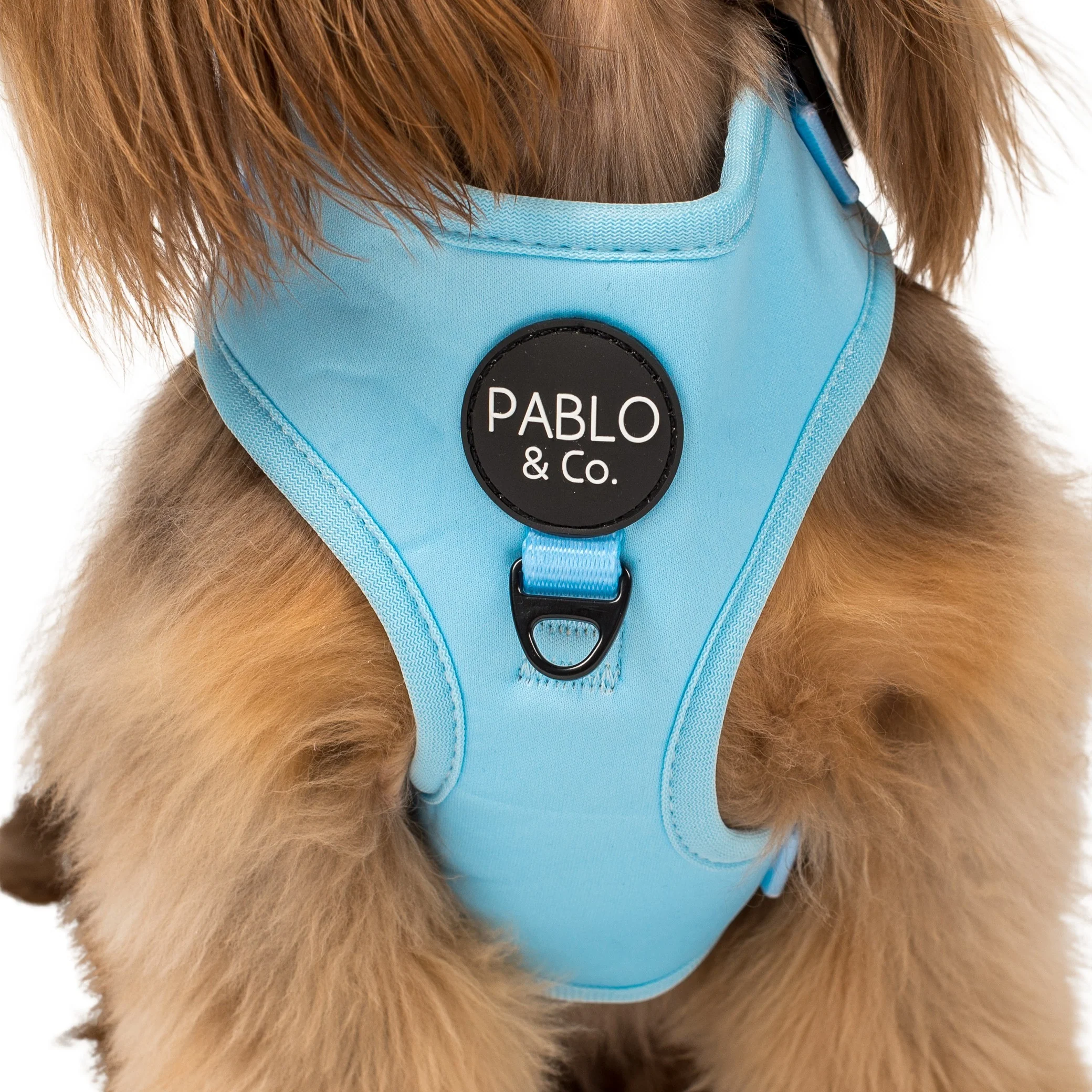 Baby Blue: Adjustable Harness - Image 2