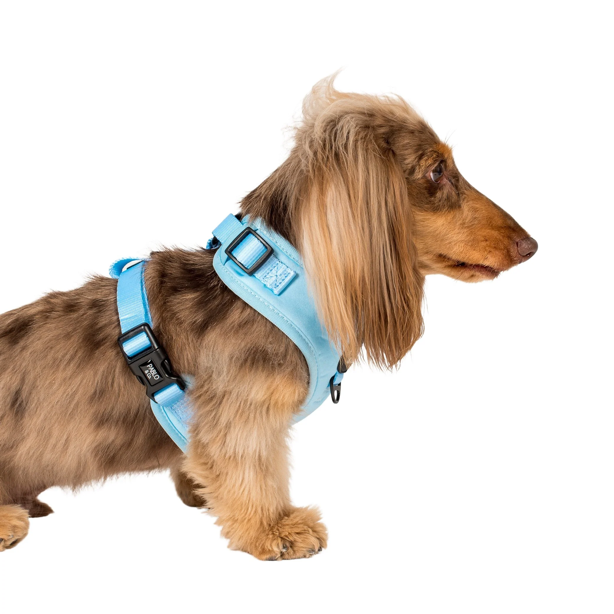 Baby Blue: Adjustable Harness - Image 3