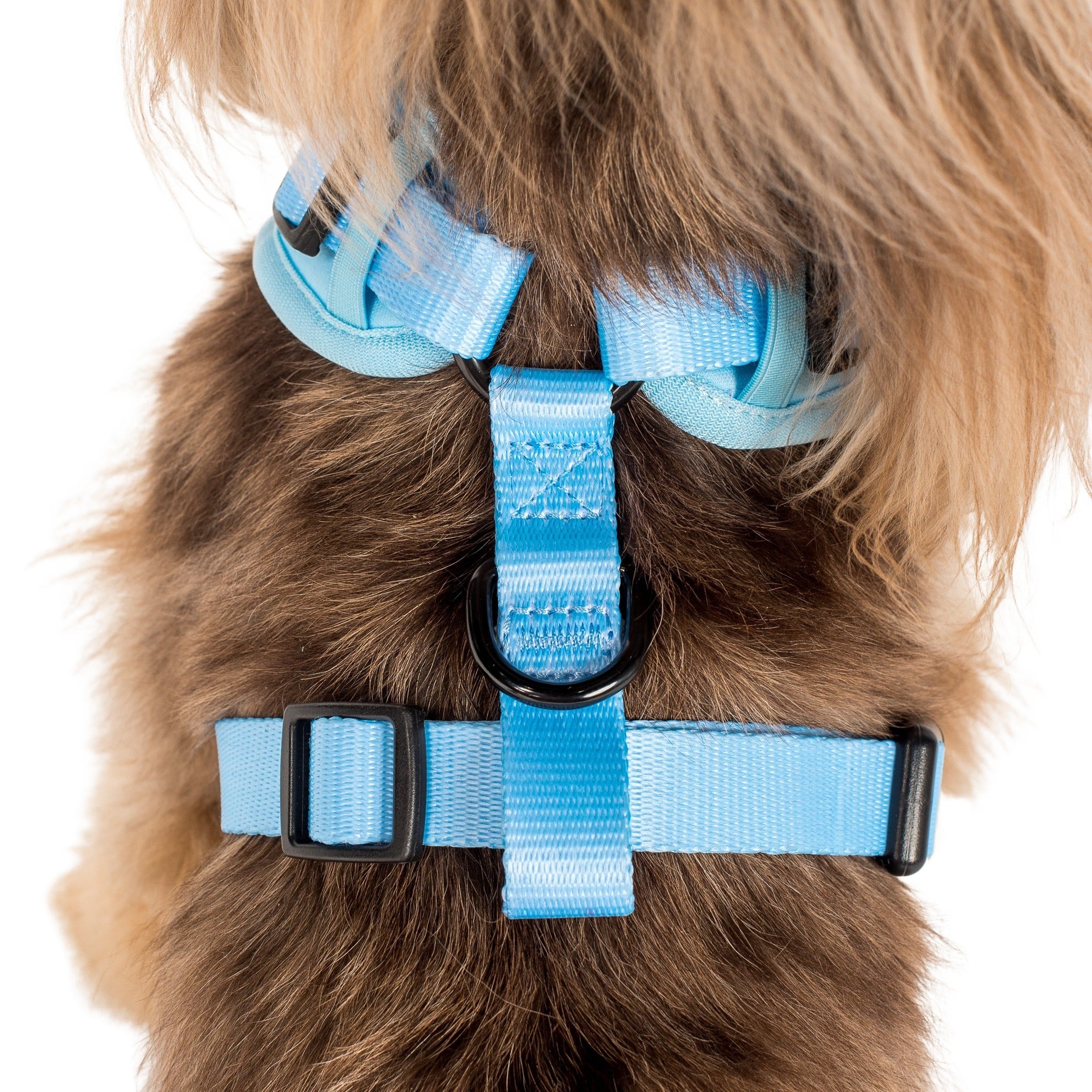 Baby Blue: Adjustable Harness - Image 4