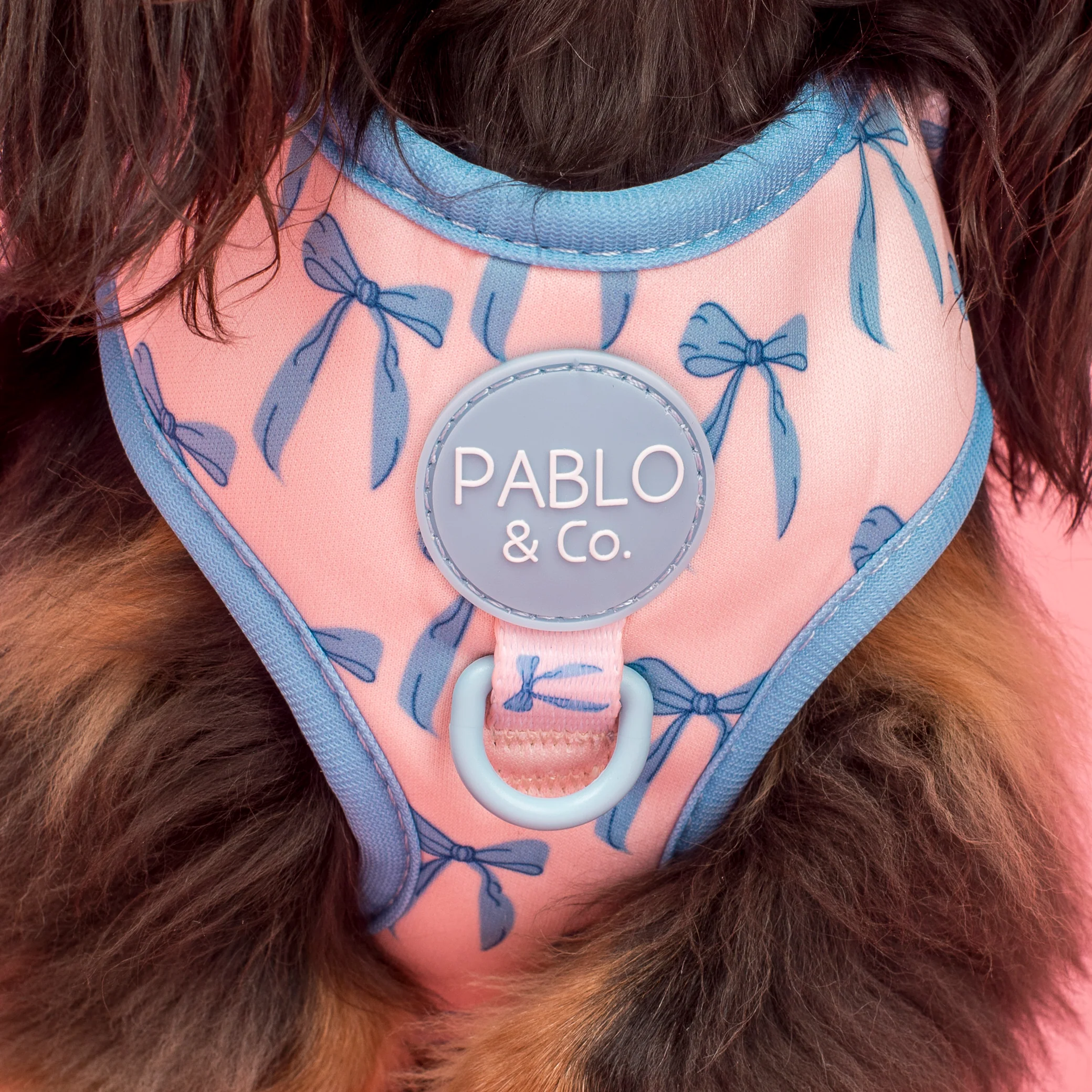 Baby Blue Bows: Adjustable Harness - Image 2