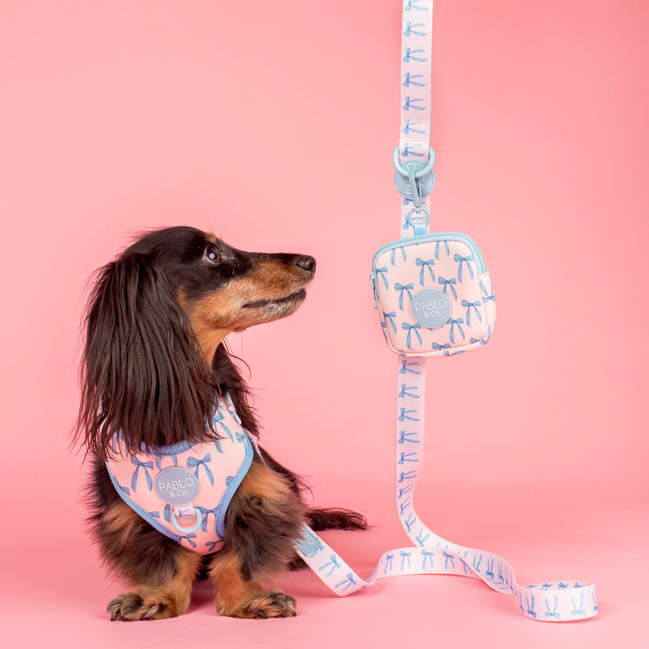 Baby Blue Bows: Adjustable Harness - Image 4
