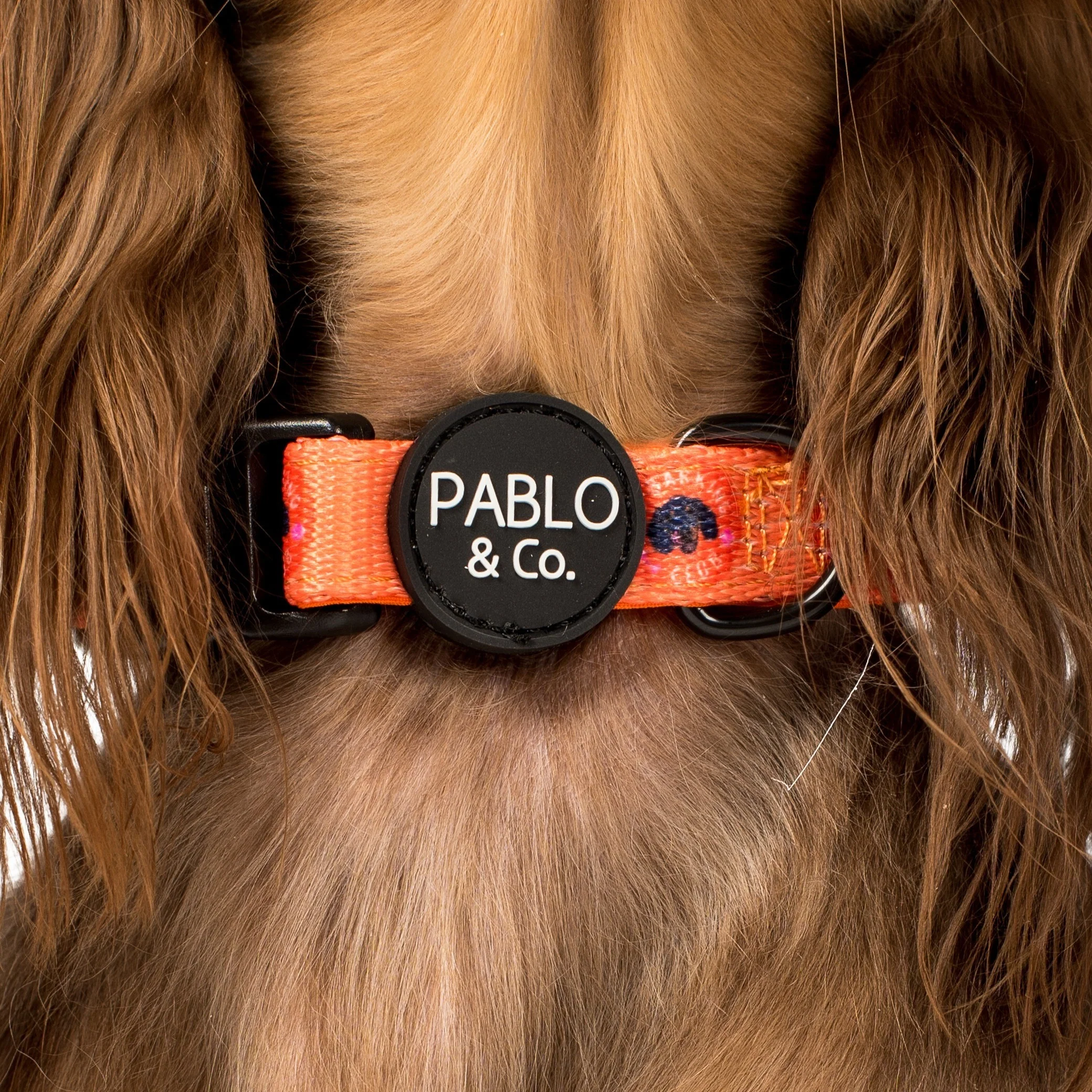Bark Club: Collar - Image 2