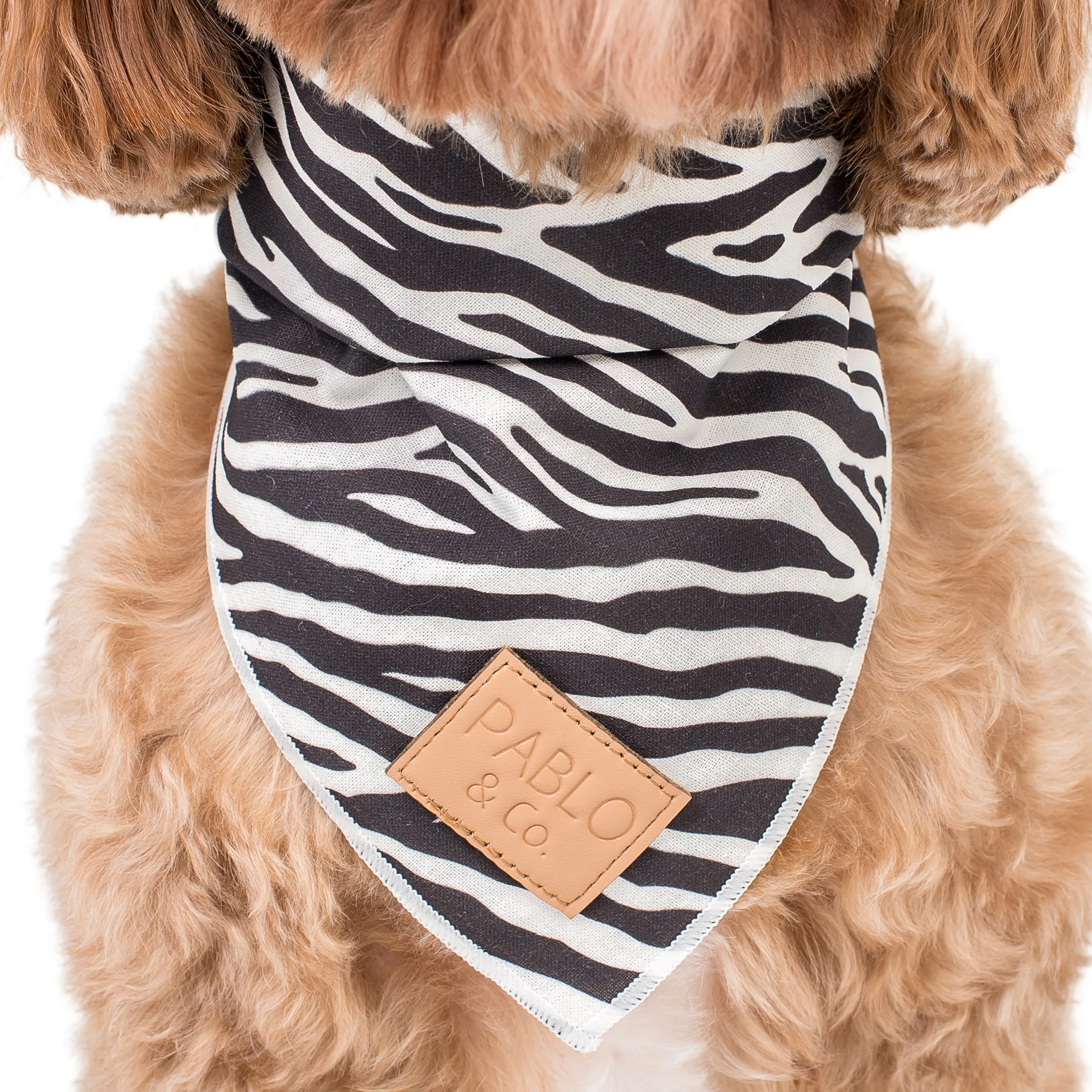 Black & White Zebra - Bandana - Image 4