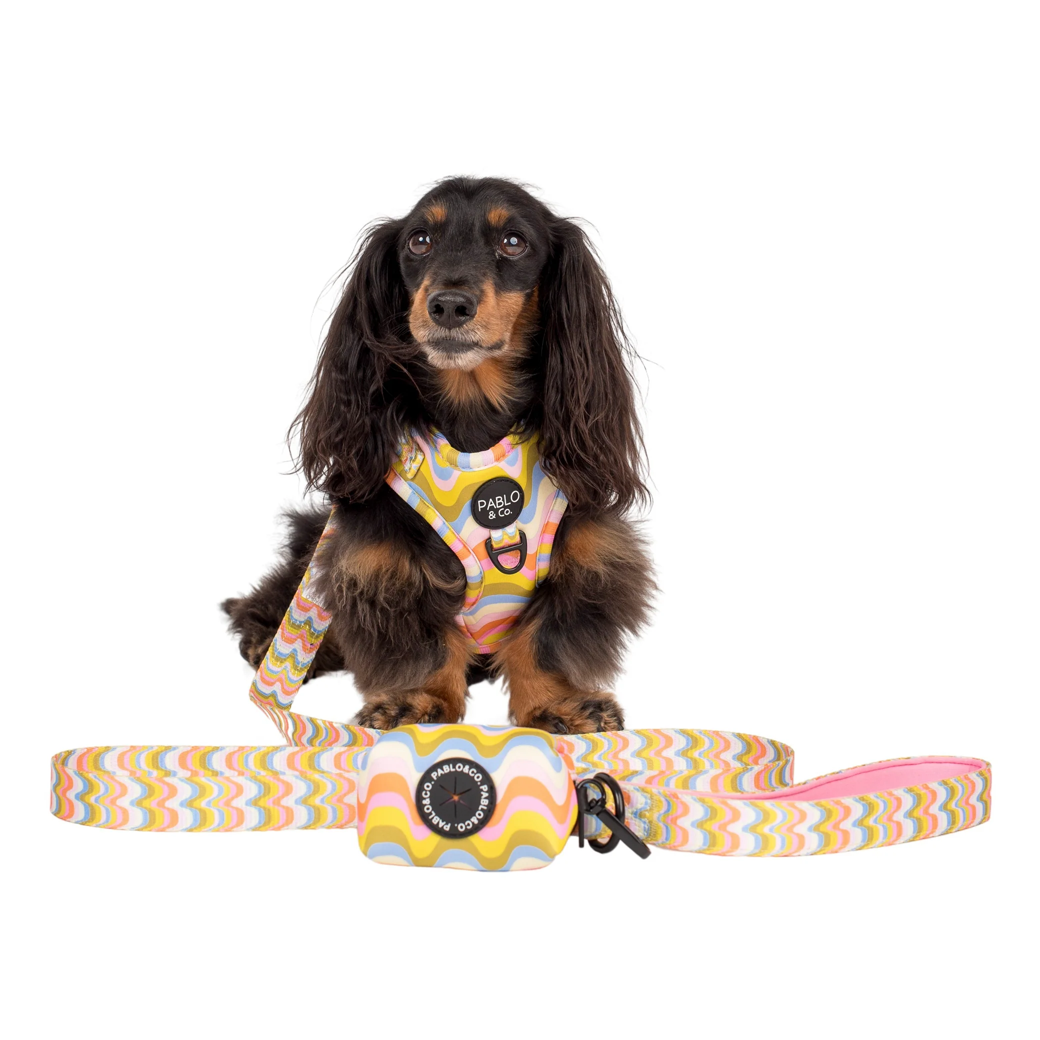 Boho Waves - Poop Bag Holder - Image 4