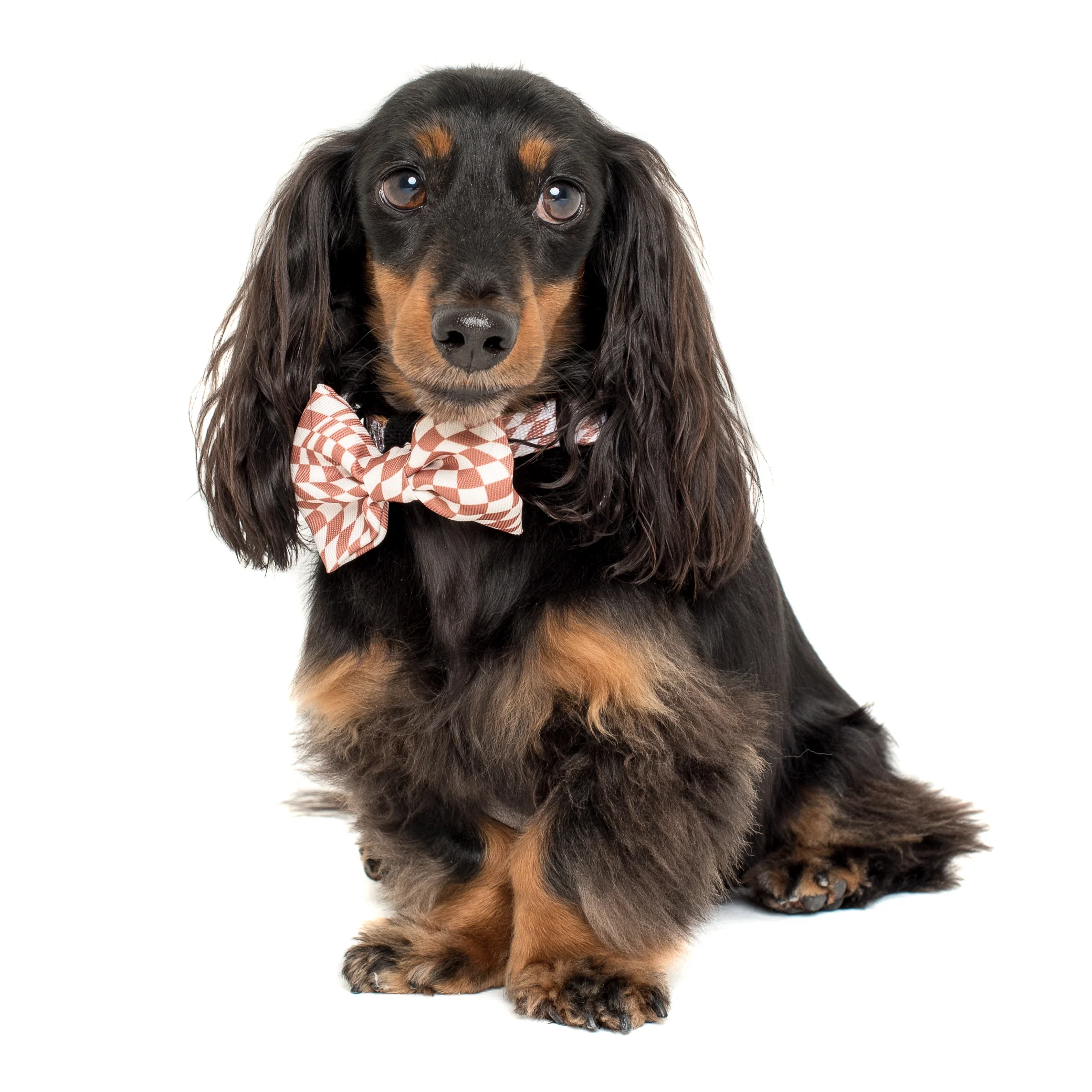 Brown Check Check: Bow Tie