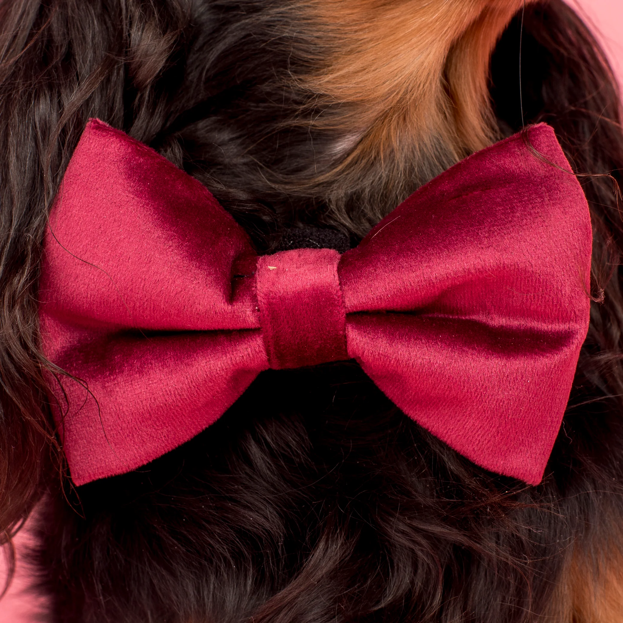 Merlot Velvet Bow Tie - Image 3