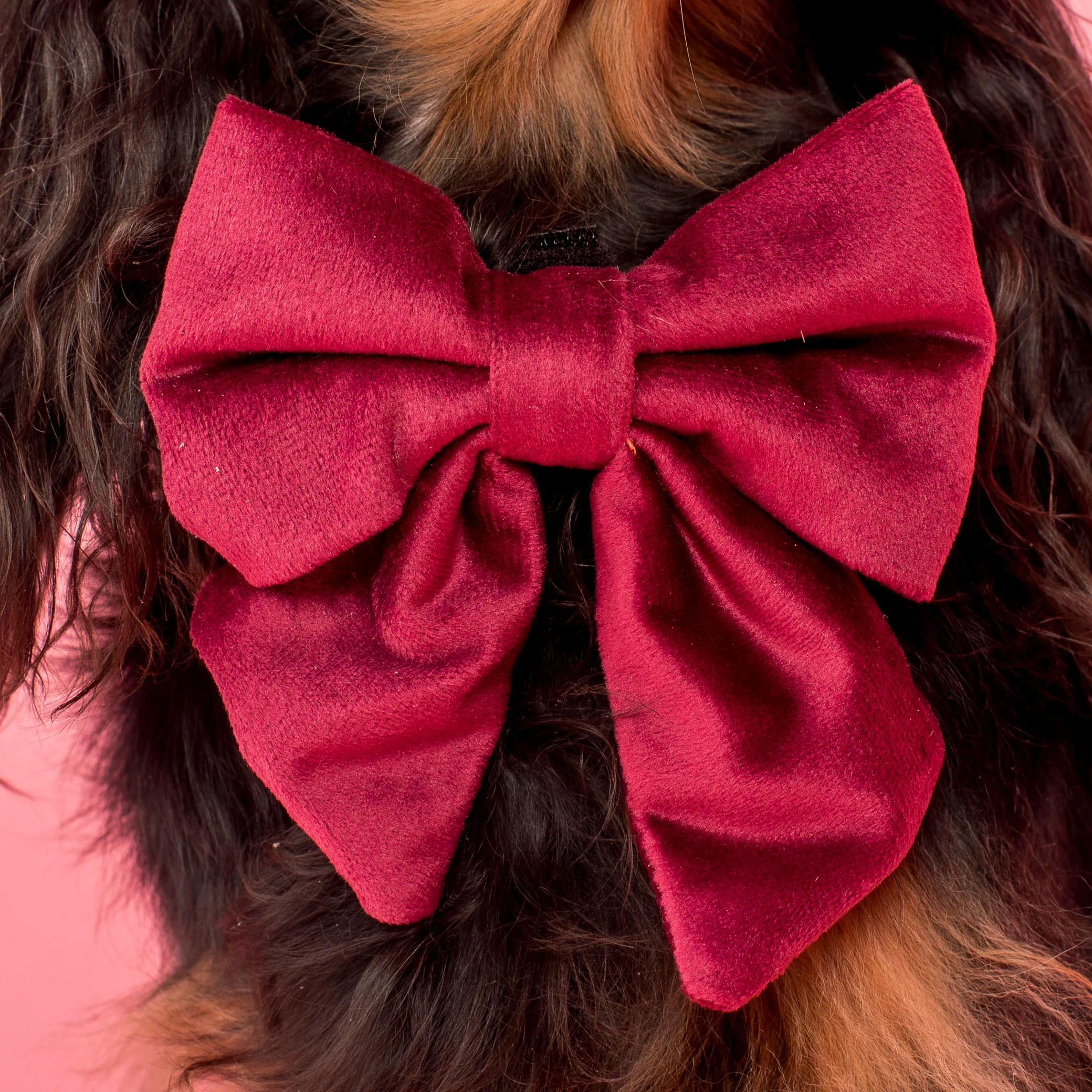 Merlot Velvet Sailor Bow Tie - Image 3