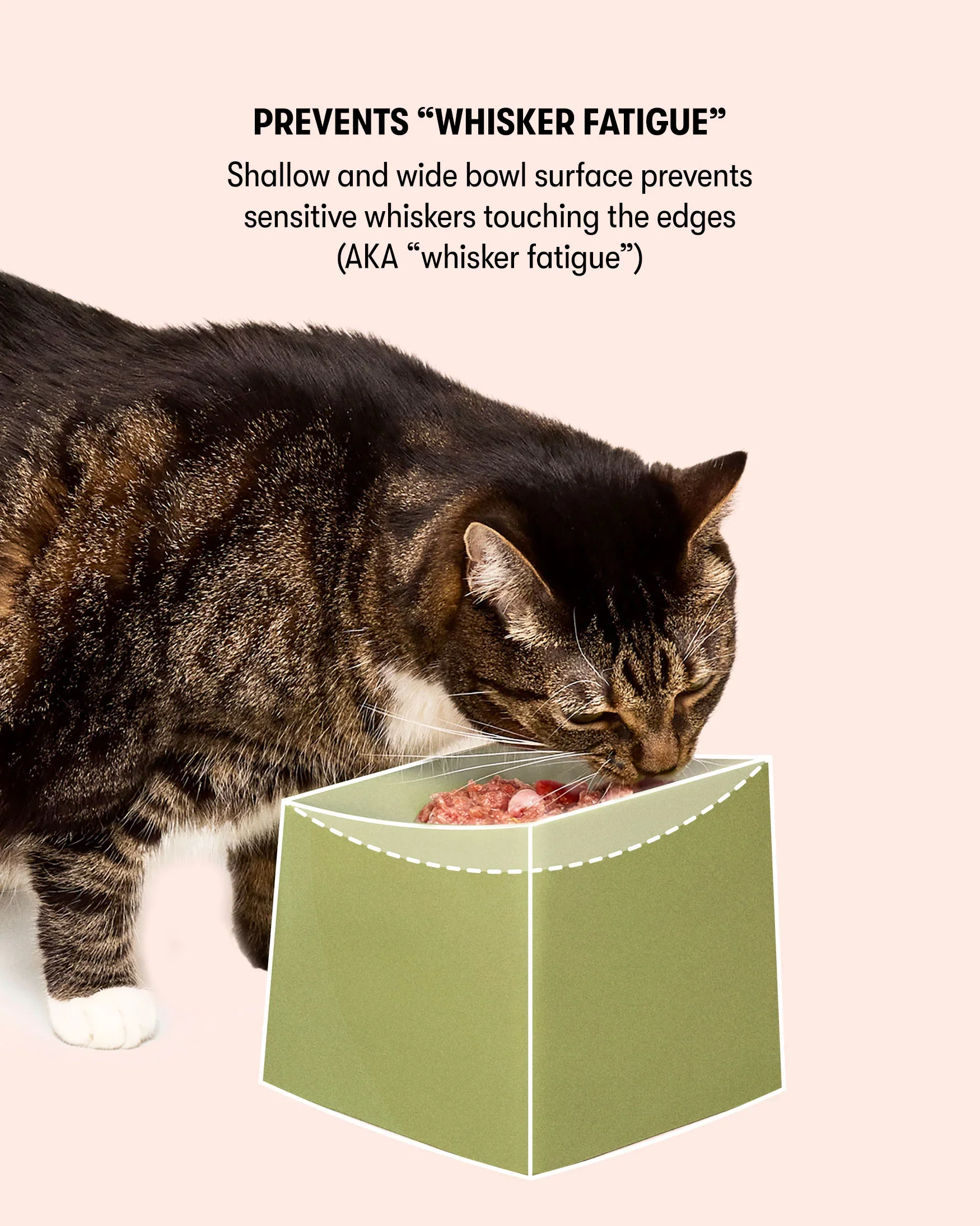 CAT Corner Bowl Set - Blush - Image 7