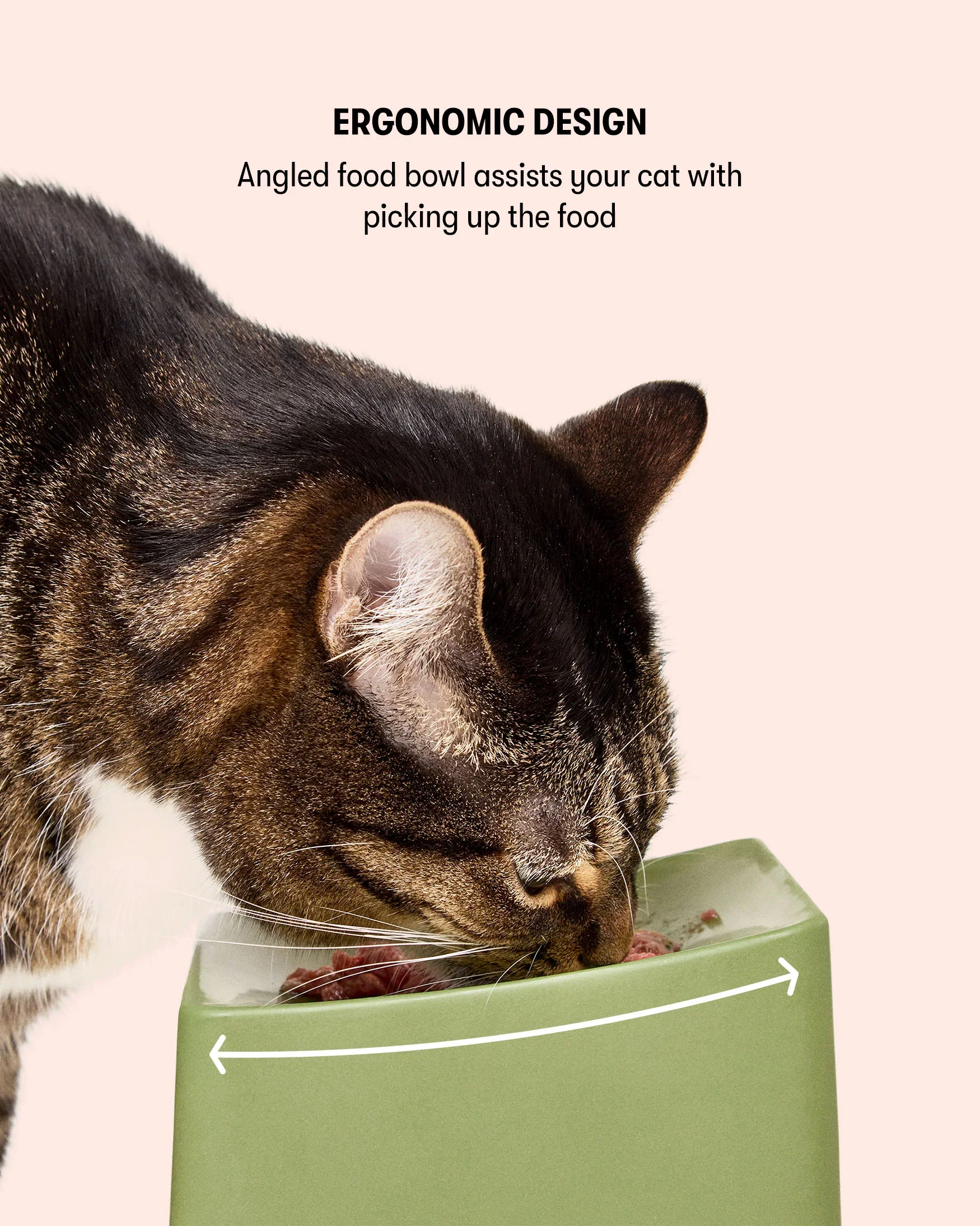 CAT Corner Bowl Set - Blush - Image 5