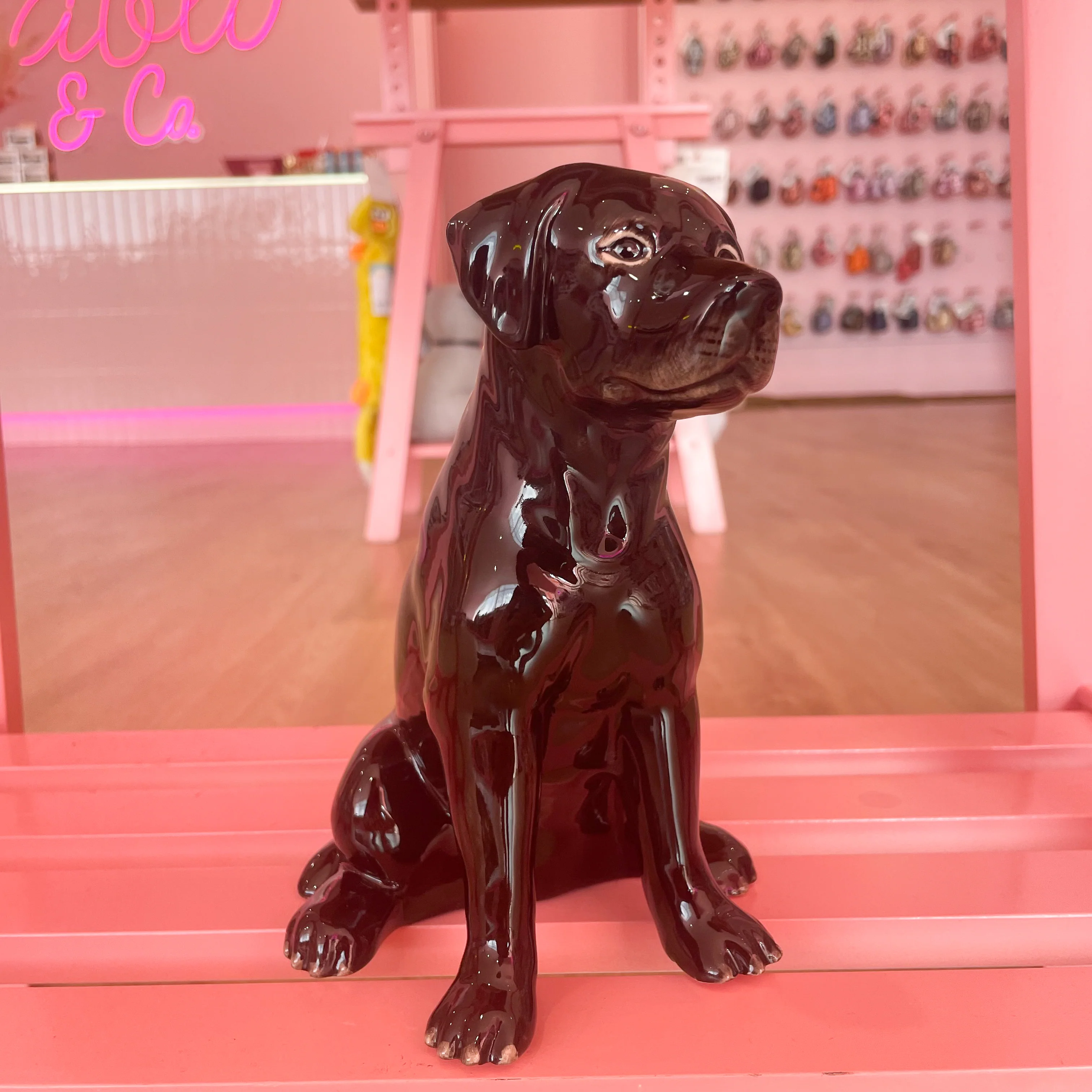 Ceramic Dog Money Box - Image 13