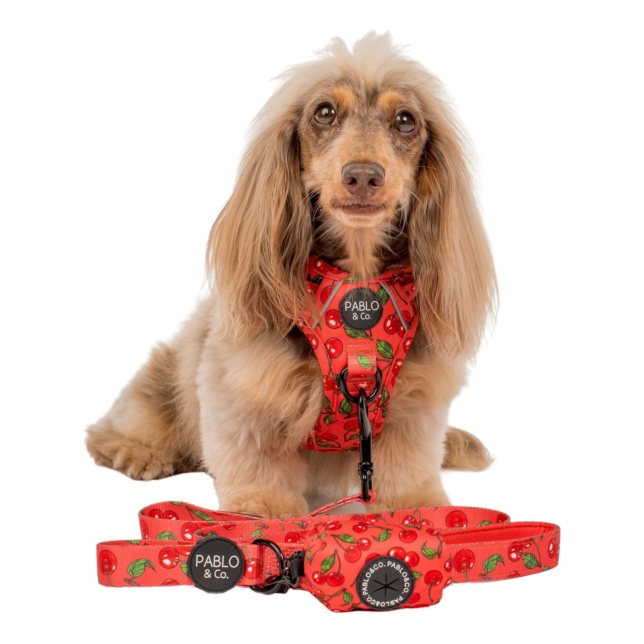 Cherry - Poop Bag Holder - Image 4