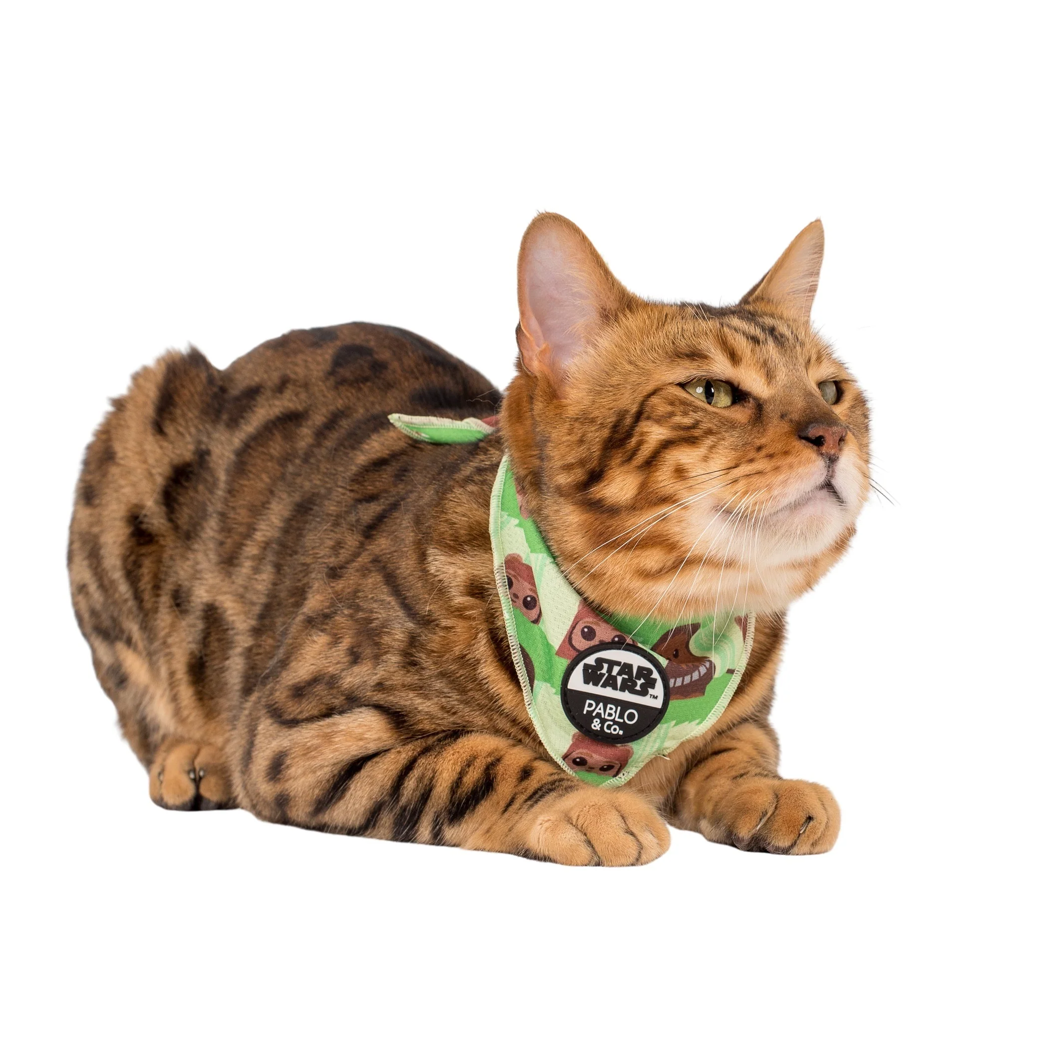 Chewbacca & Ewoks: Cat Bandana
