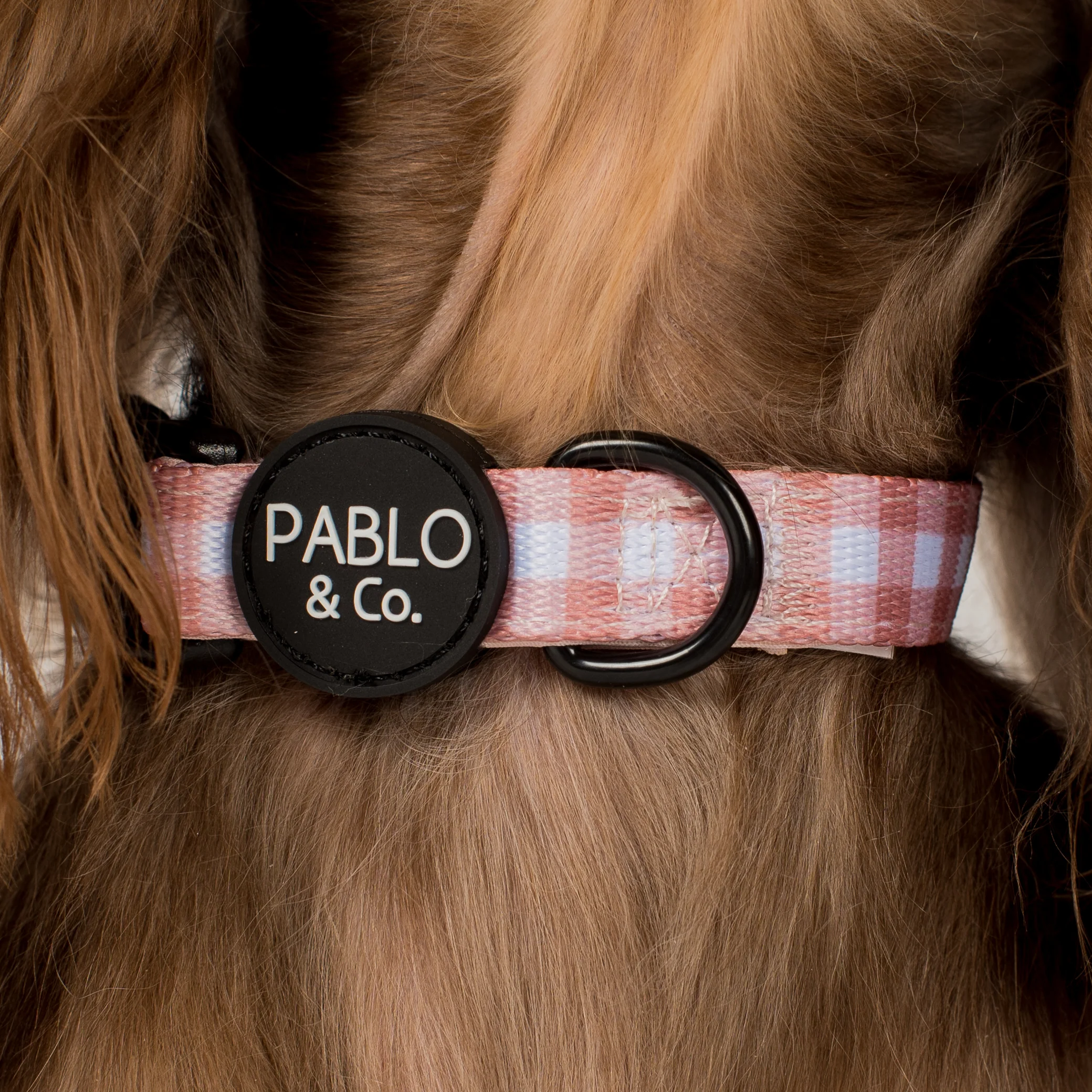 Chocolate Gingham: Collar - Image 2