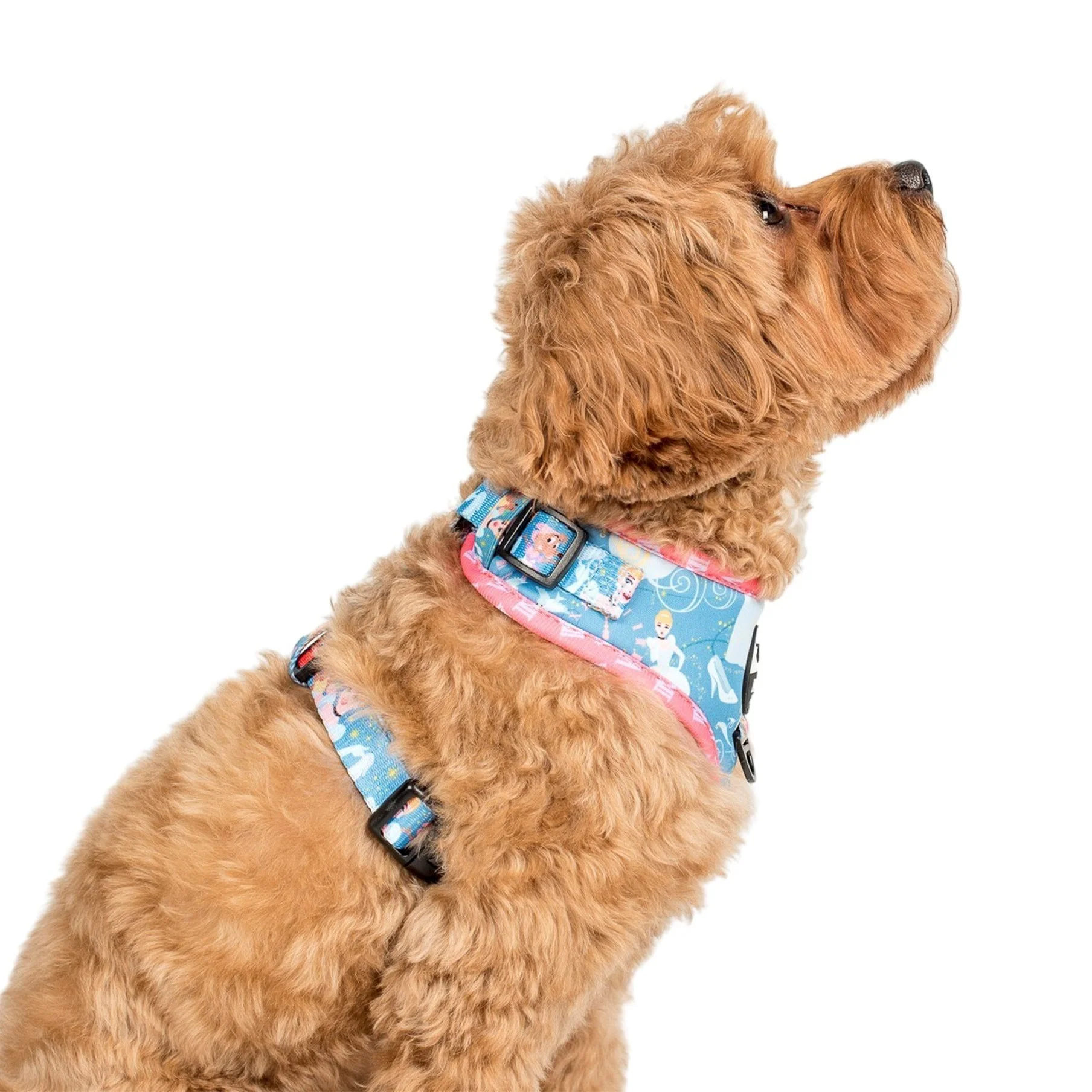Cinderella: Adjustable Harness - Image 3