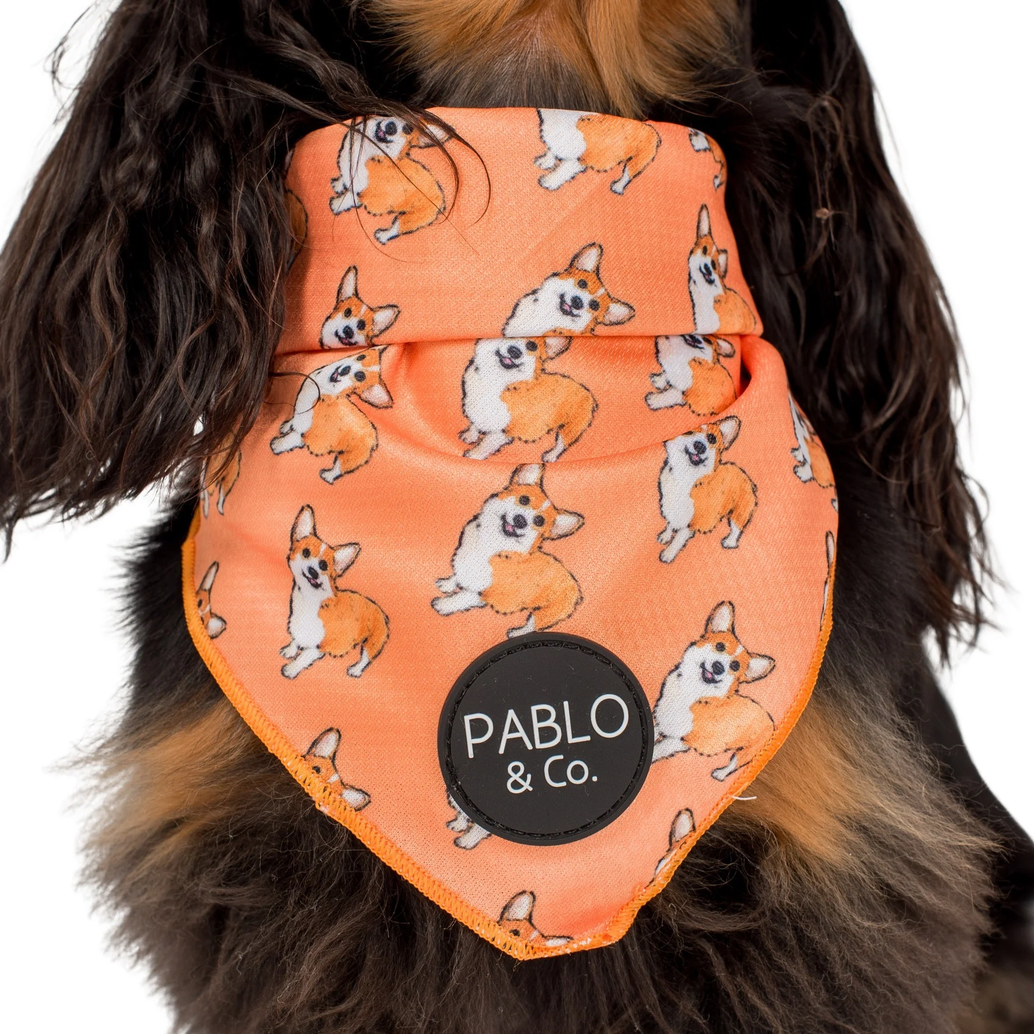 Corgi - Dog Bandana - Image 3