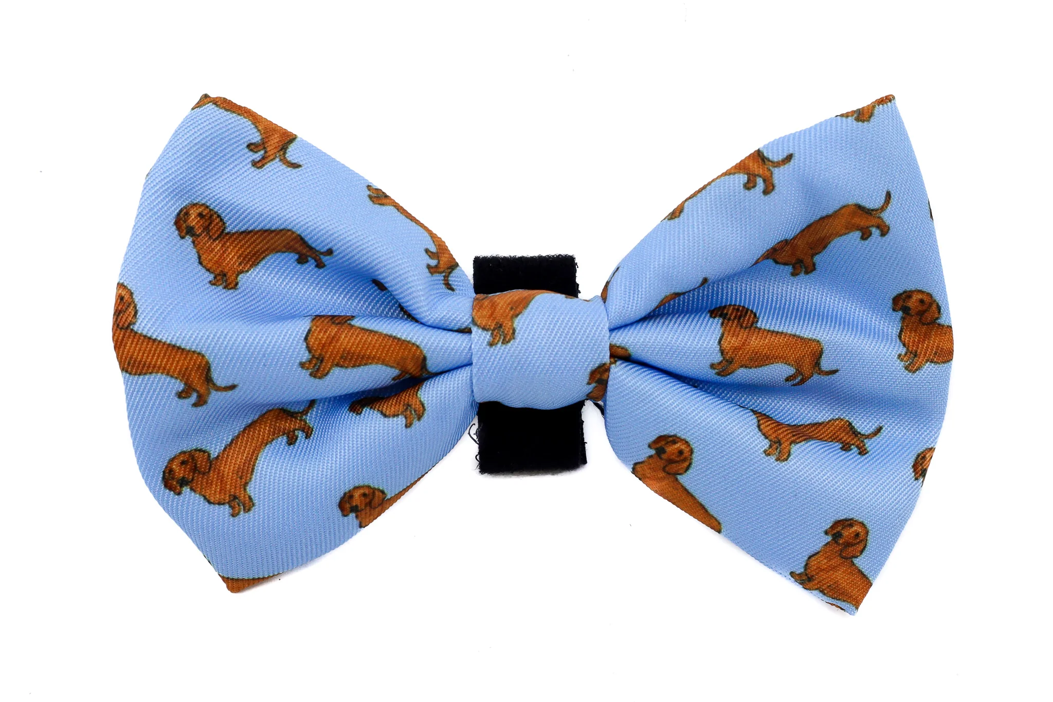 Dachshund: Bow Tie - Image 4