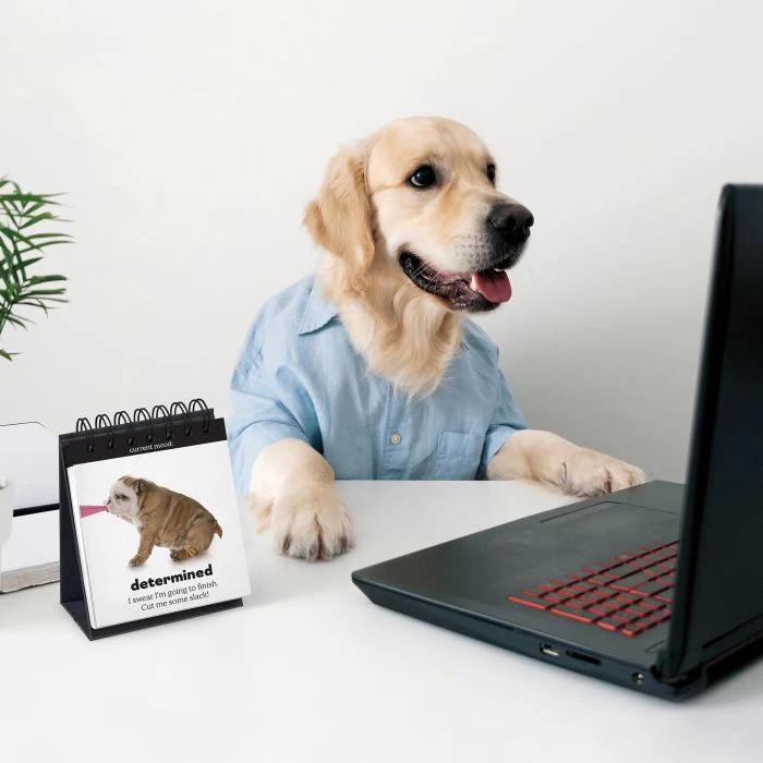 Daily Doggo - Desktop Flip Book - Image 2