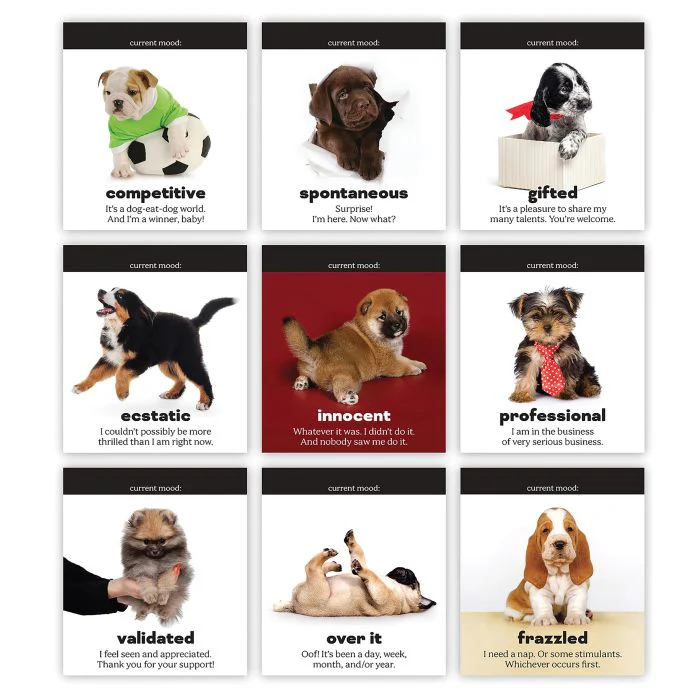 Daily Doggo - Desktop Flip Book - Image 4