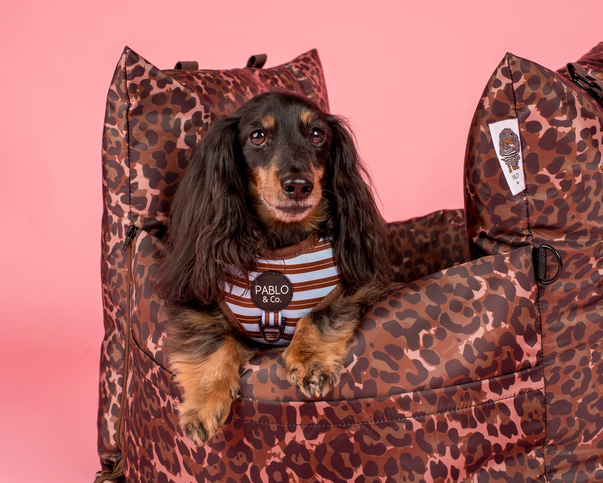 Deluxe Travel Car Bed: Leopard - Image 4
