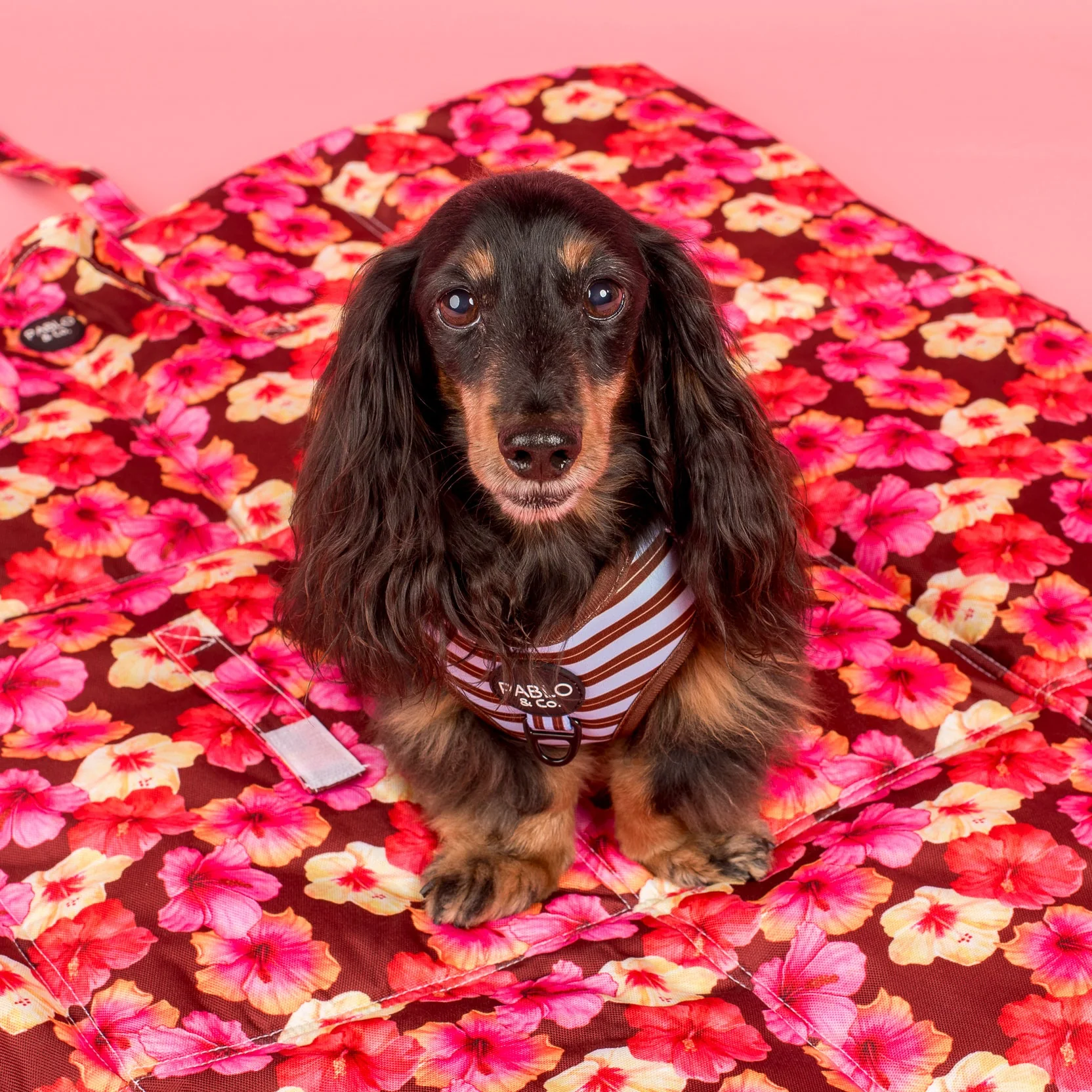 Deluxe Travel Mat: Hibiscus - Image 3