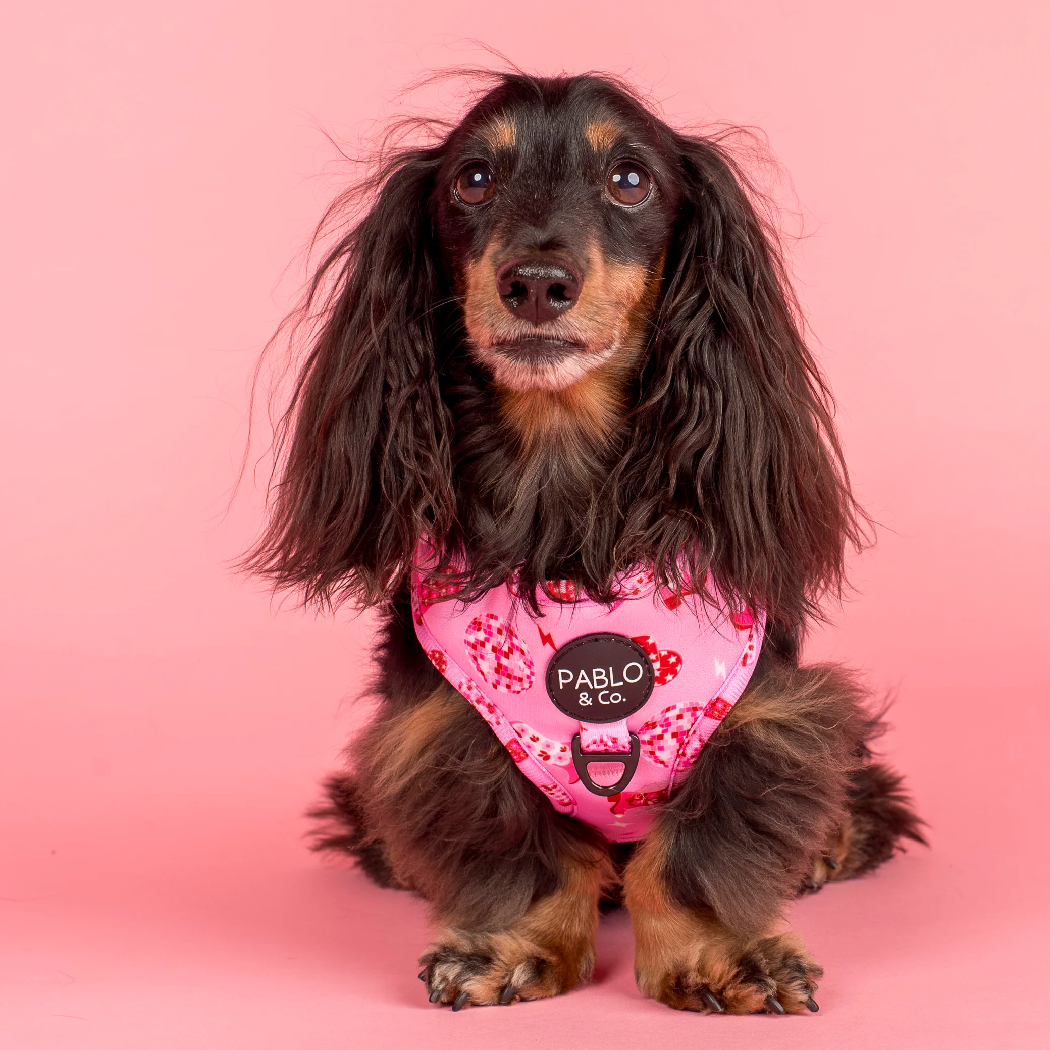 Disco Cowgirl: Adjustable Harness