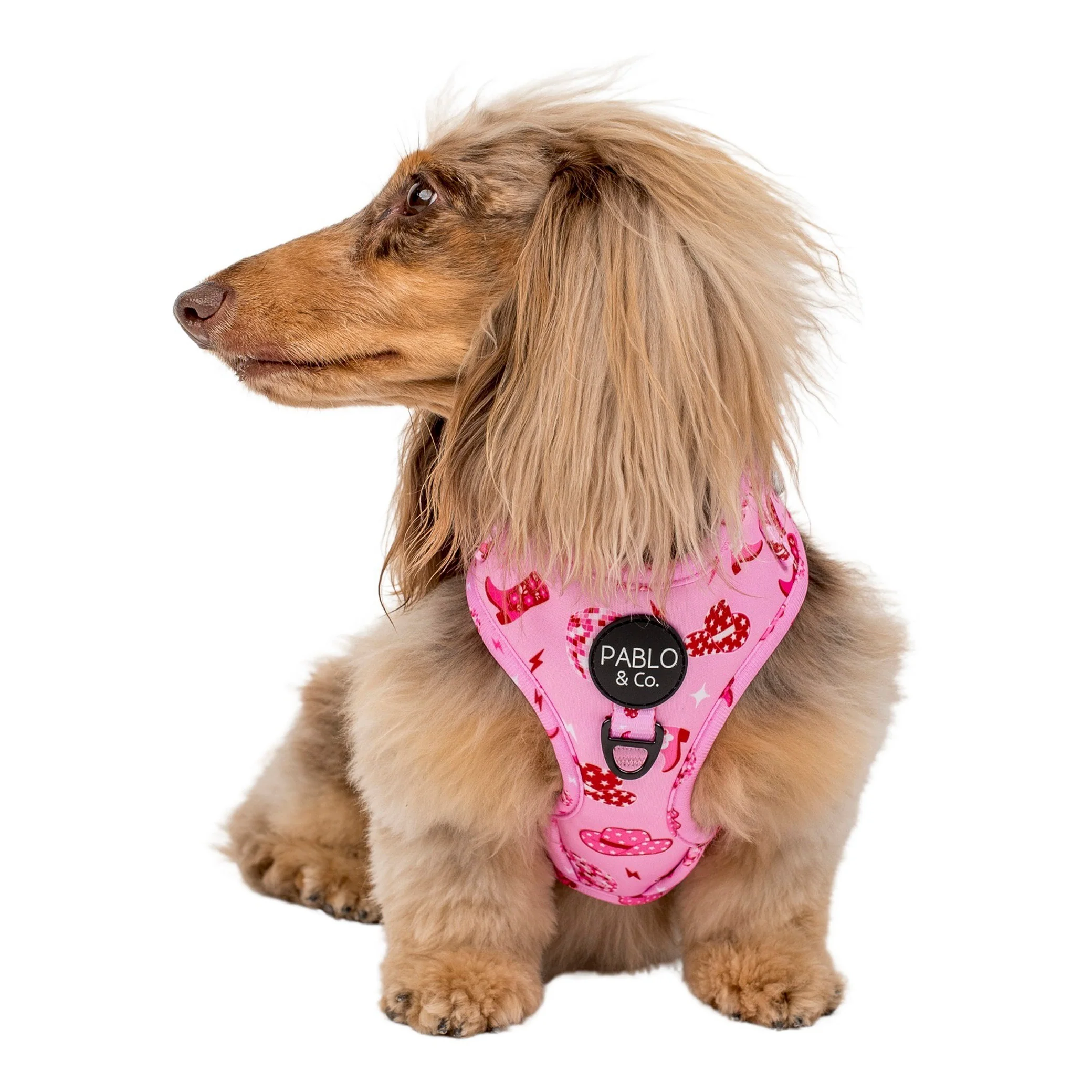 Disco Cowgirl: Adjustable Harness - Image 10