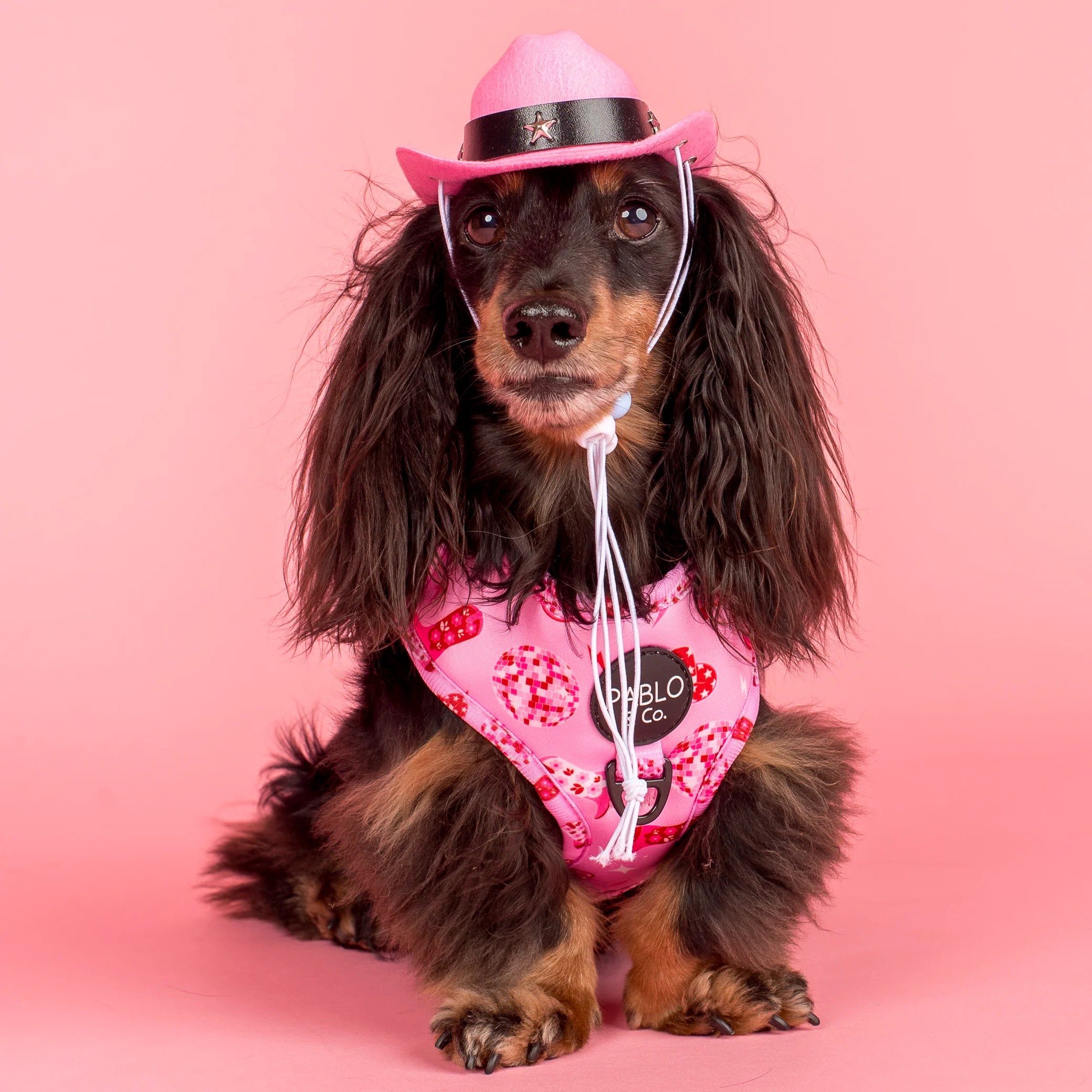 Disco Cowgirl: Adjustable Harness - Image 2