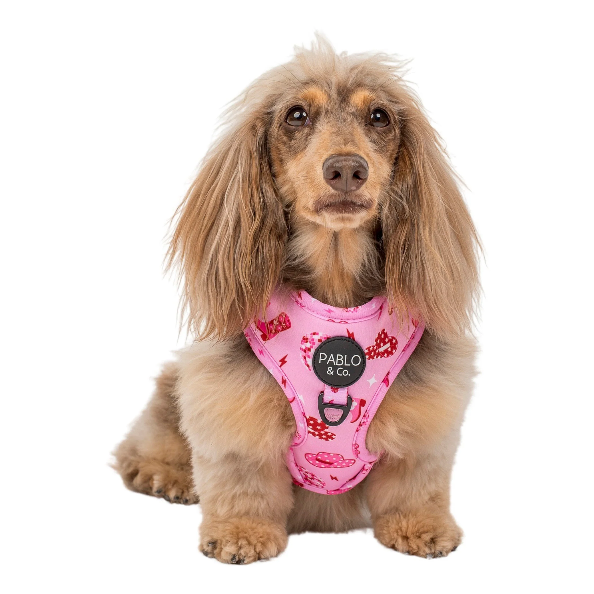 Disco Cowgirl: Adjustable Harness - Image 4