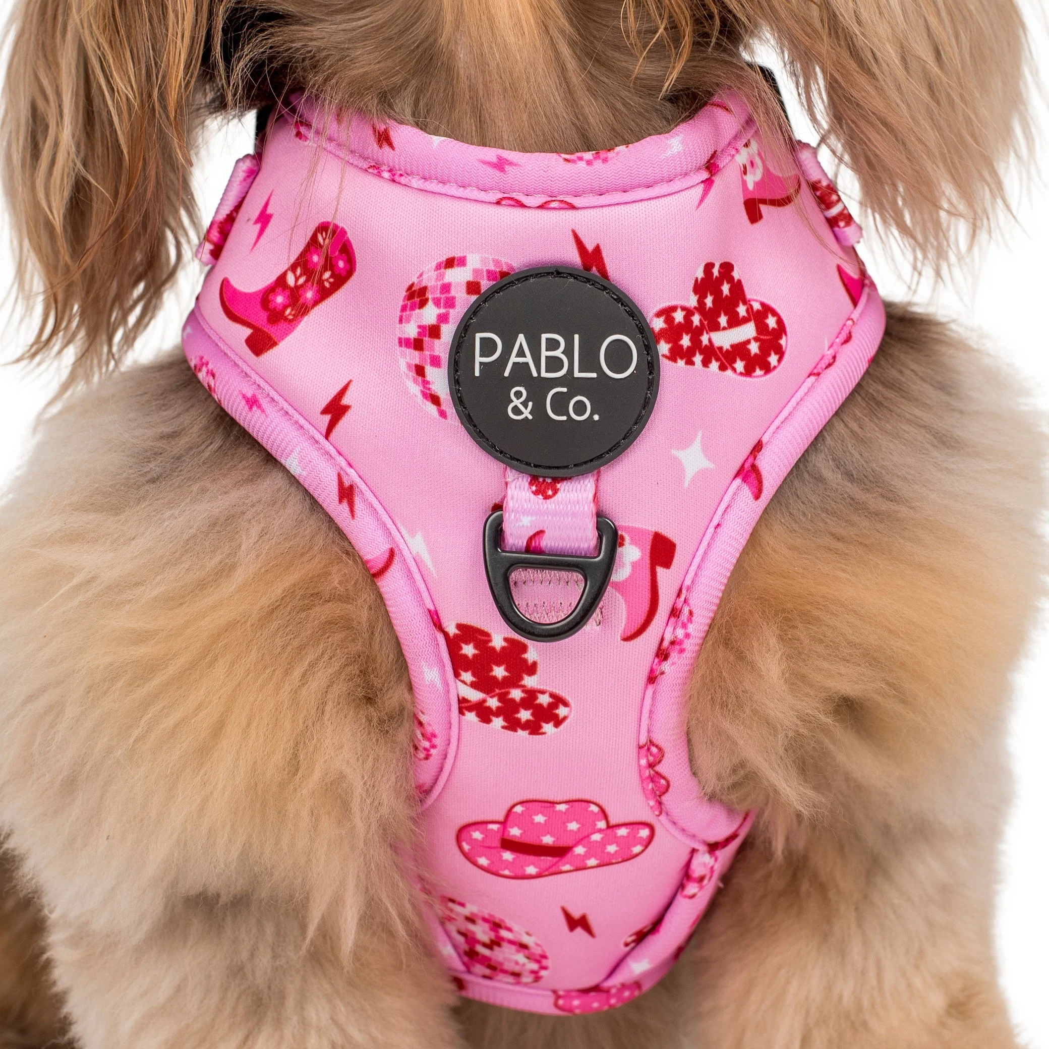 Disco Cowgirl: Adjustable Harness - Image 5