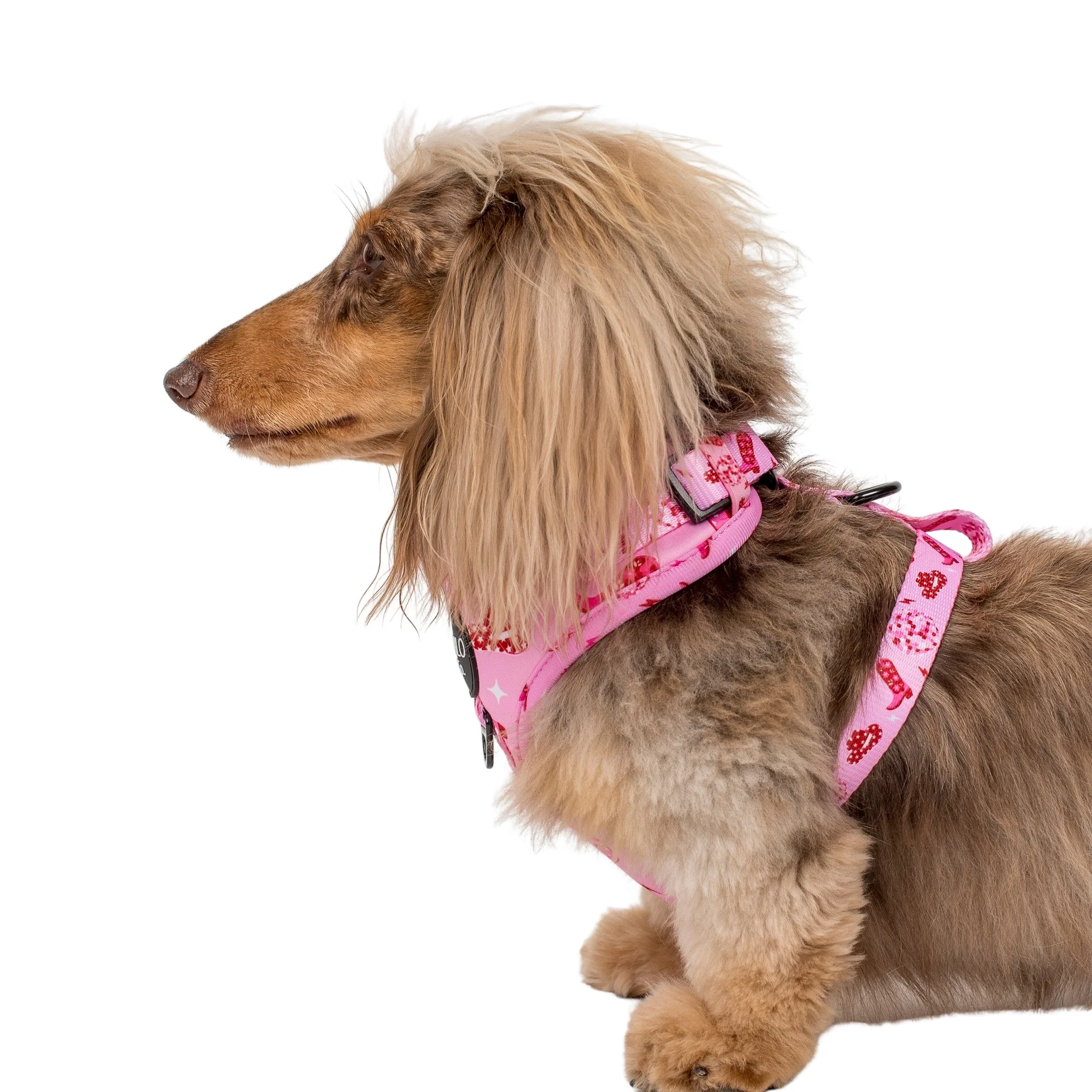 Disco Cowgirl: Adjustable Harness - Image 6