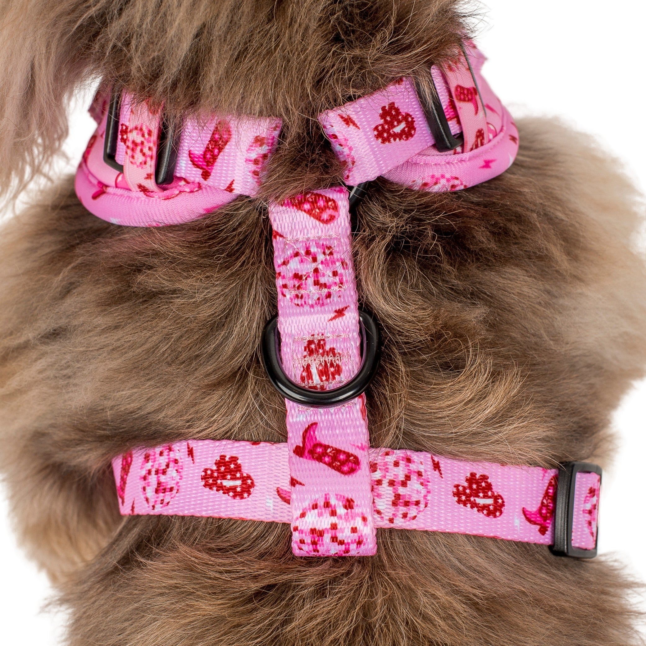 Disco Cowgirl: Adjustable Harness - Image 7