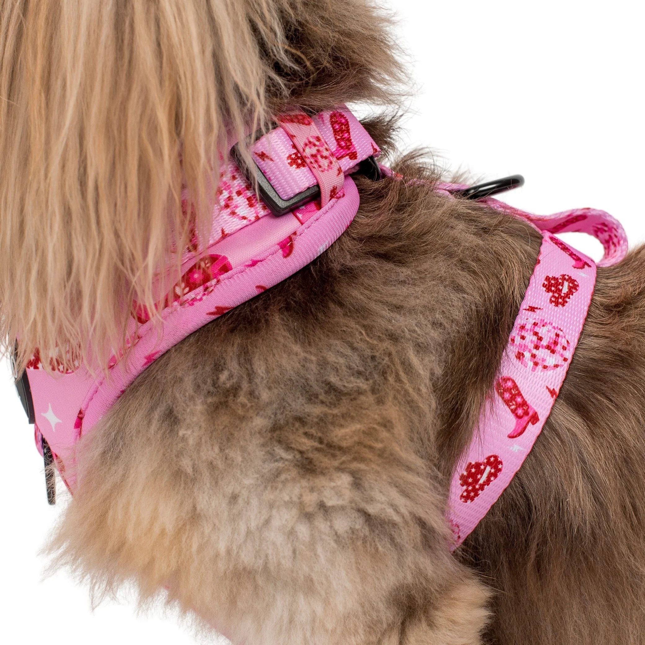 Disco Cowgirl: Adjustable Harness - Image 8