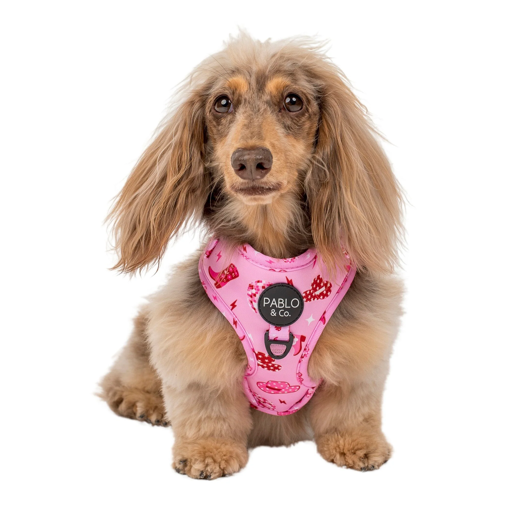 Disco Cowgirl: Adjustable Harness - Image 9