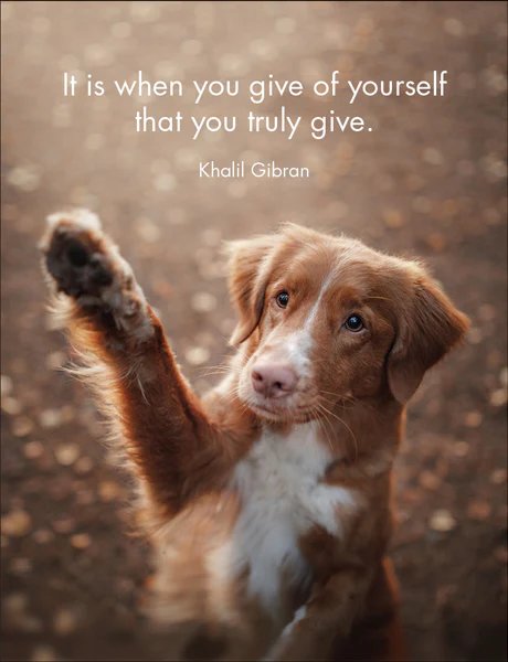 Every Dog Has Its Day: Fun Quotations - Image 2