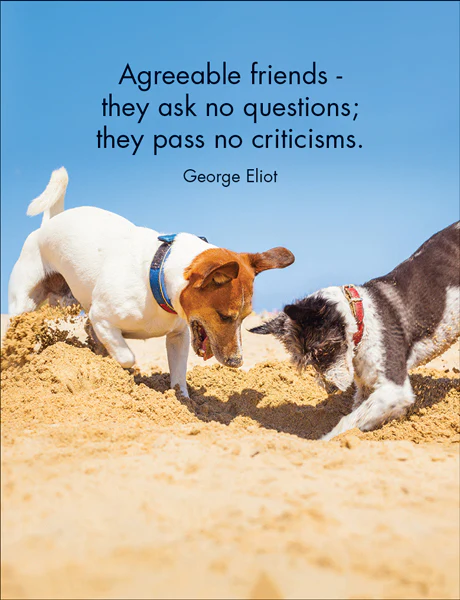 Every Dog Has Its Day: Fun Quotations - Image 4