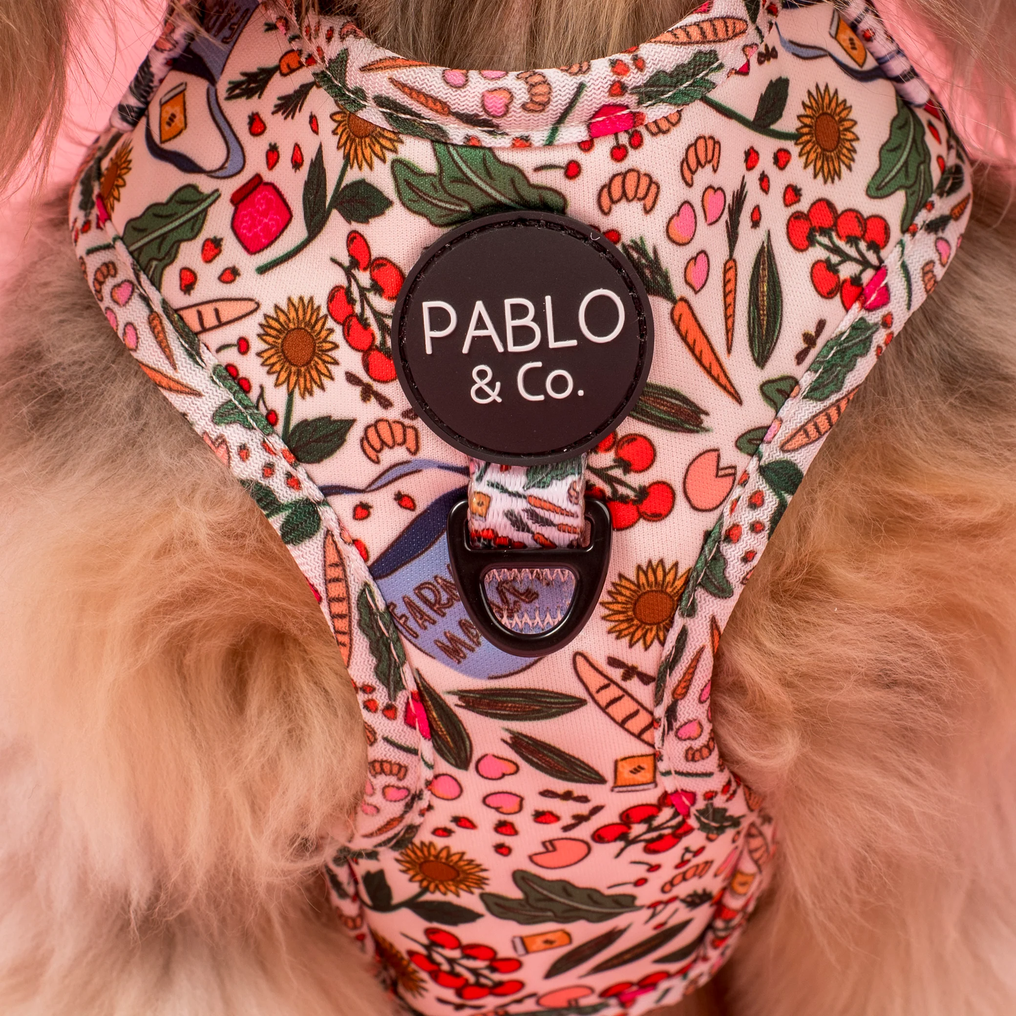 Farmers Market: Adjustable Harness - Image 2