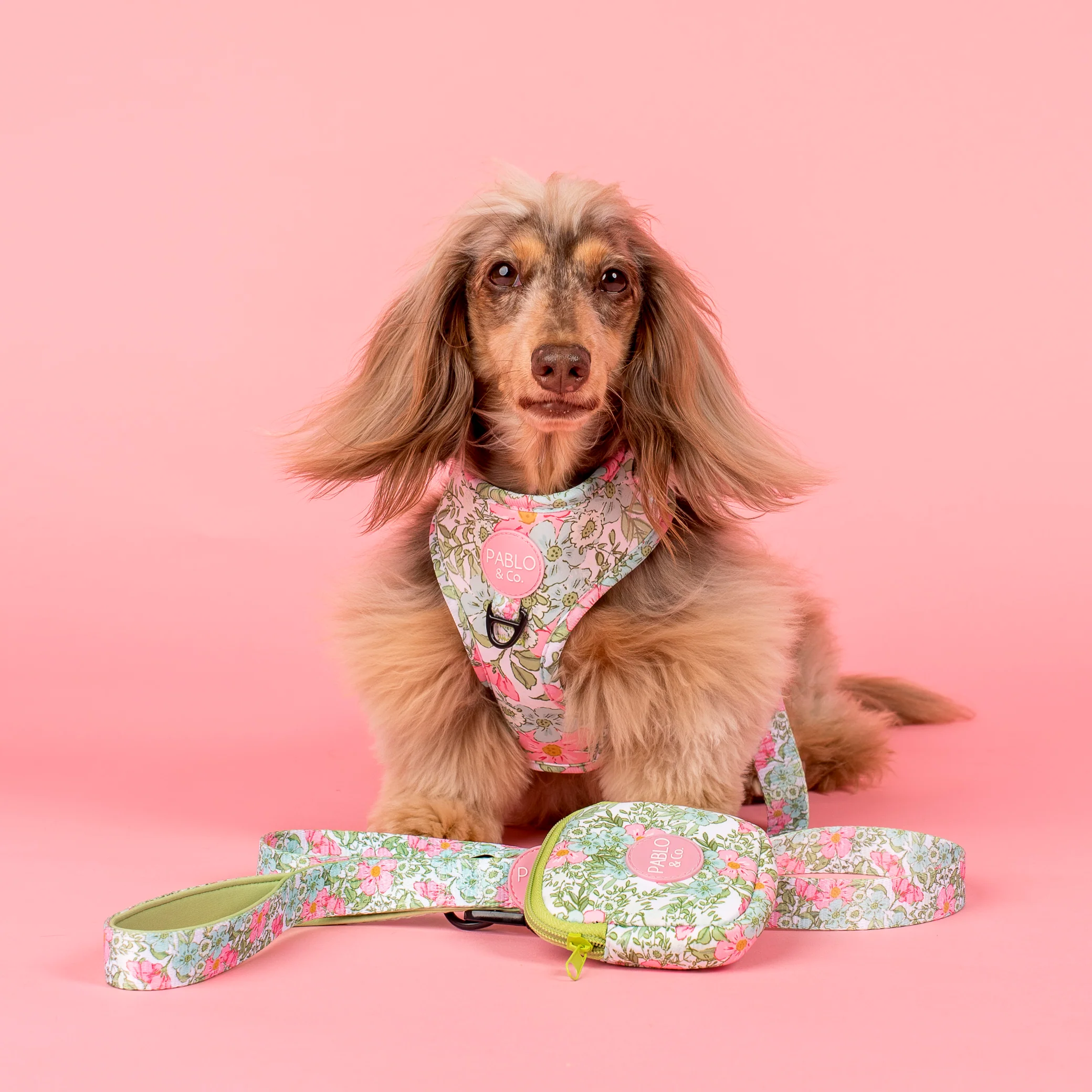Flora & Fern: Dog Leash - Image 2