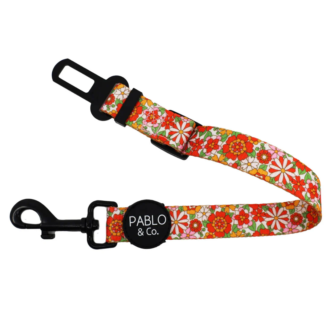 Flowers in the Field: Adjustable Car Restraint
