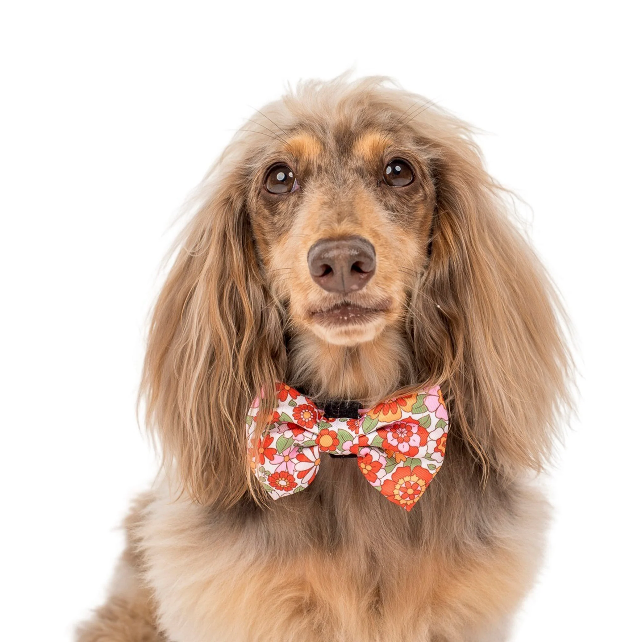 Flowers in the Field: Bow Tie - Image 5