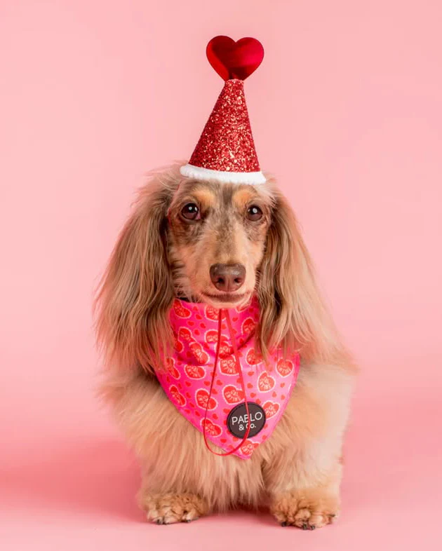 Galentine's Day - Bandana