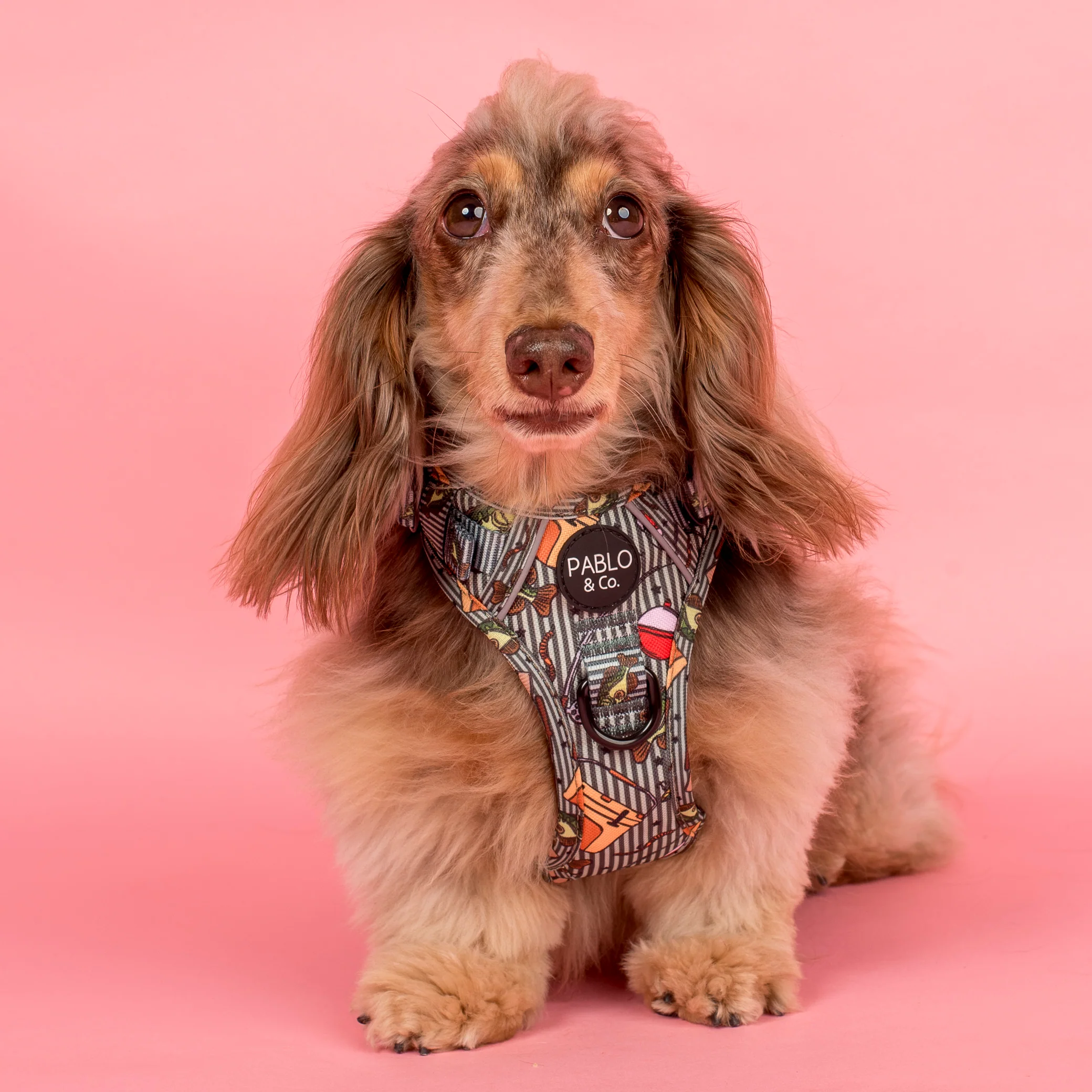 Gone Fishing: No Pull Adventure Harness