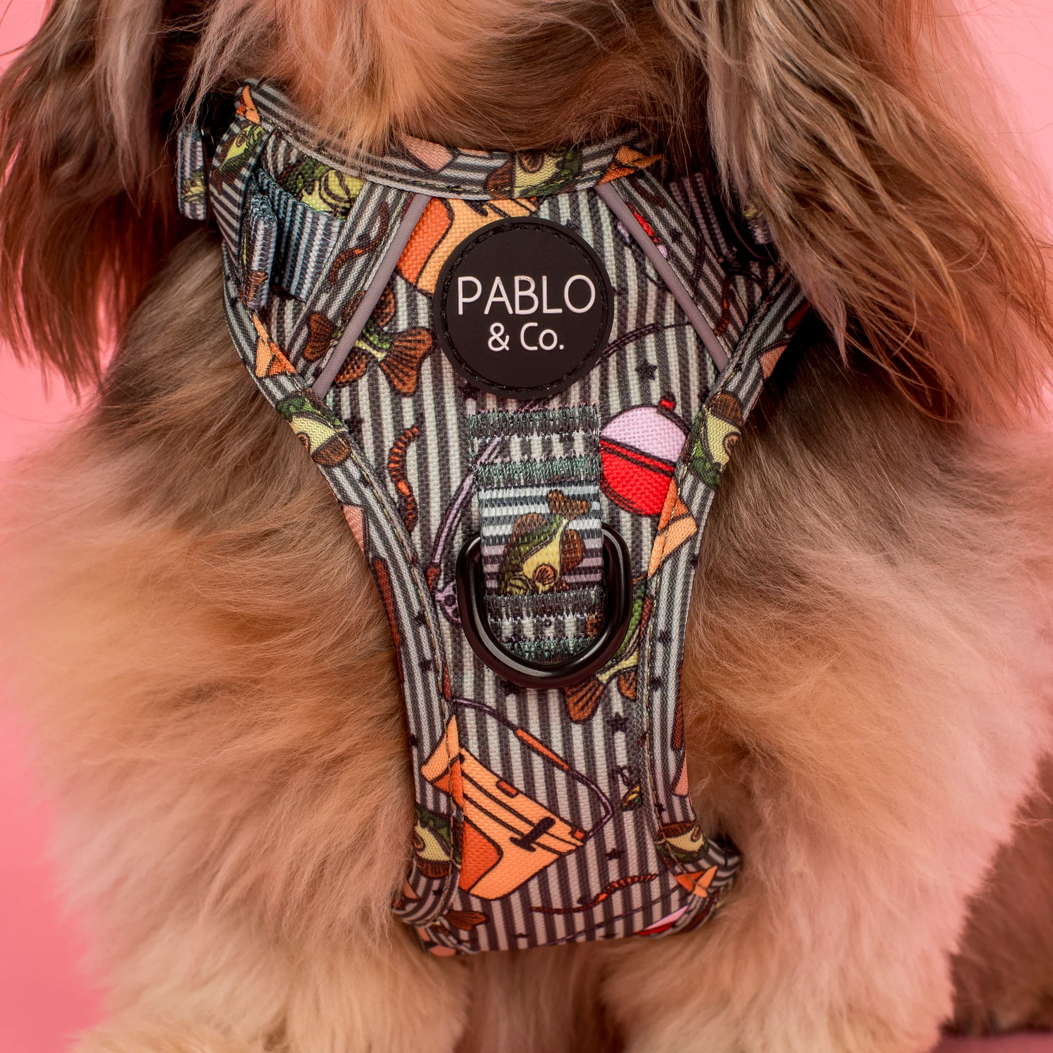 Gone Fishing: No Pull Adventure Harness - Image 2