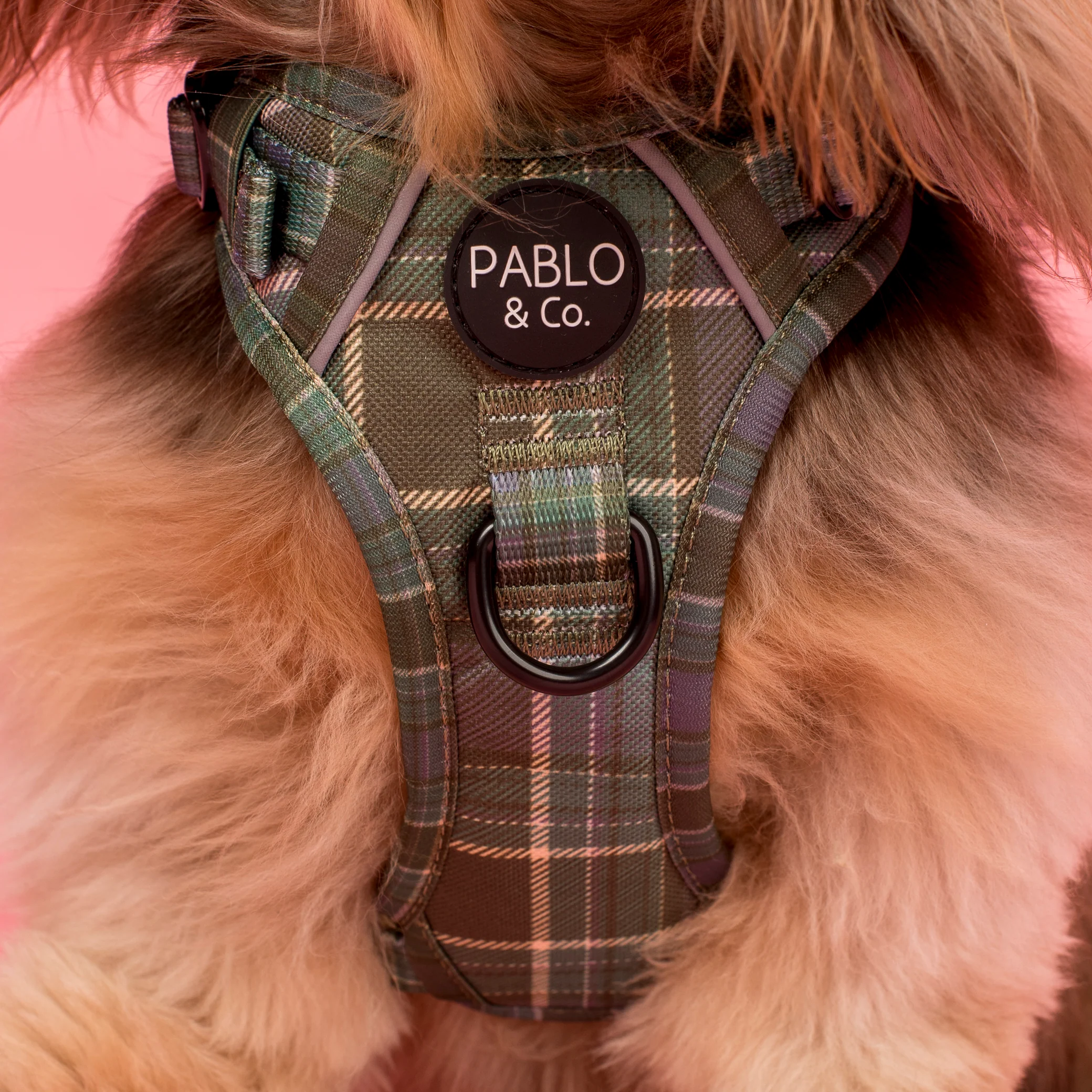 Green Plaid: No Pull Adventure Harness - Image 2