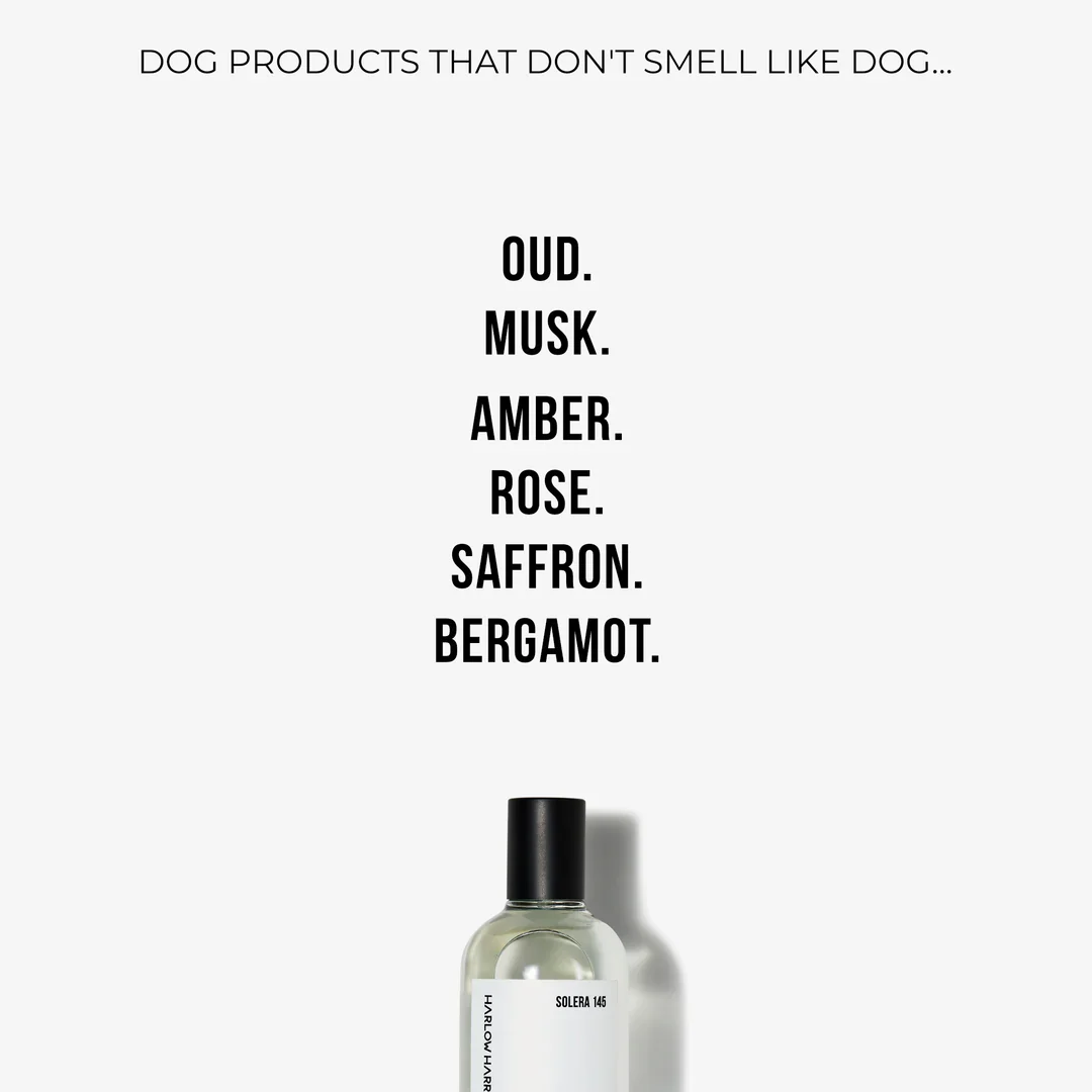 Harlow Harry: Dog Perfume | Solera 145 - Image 4