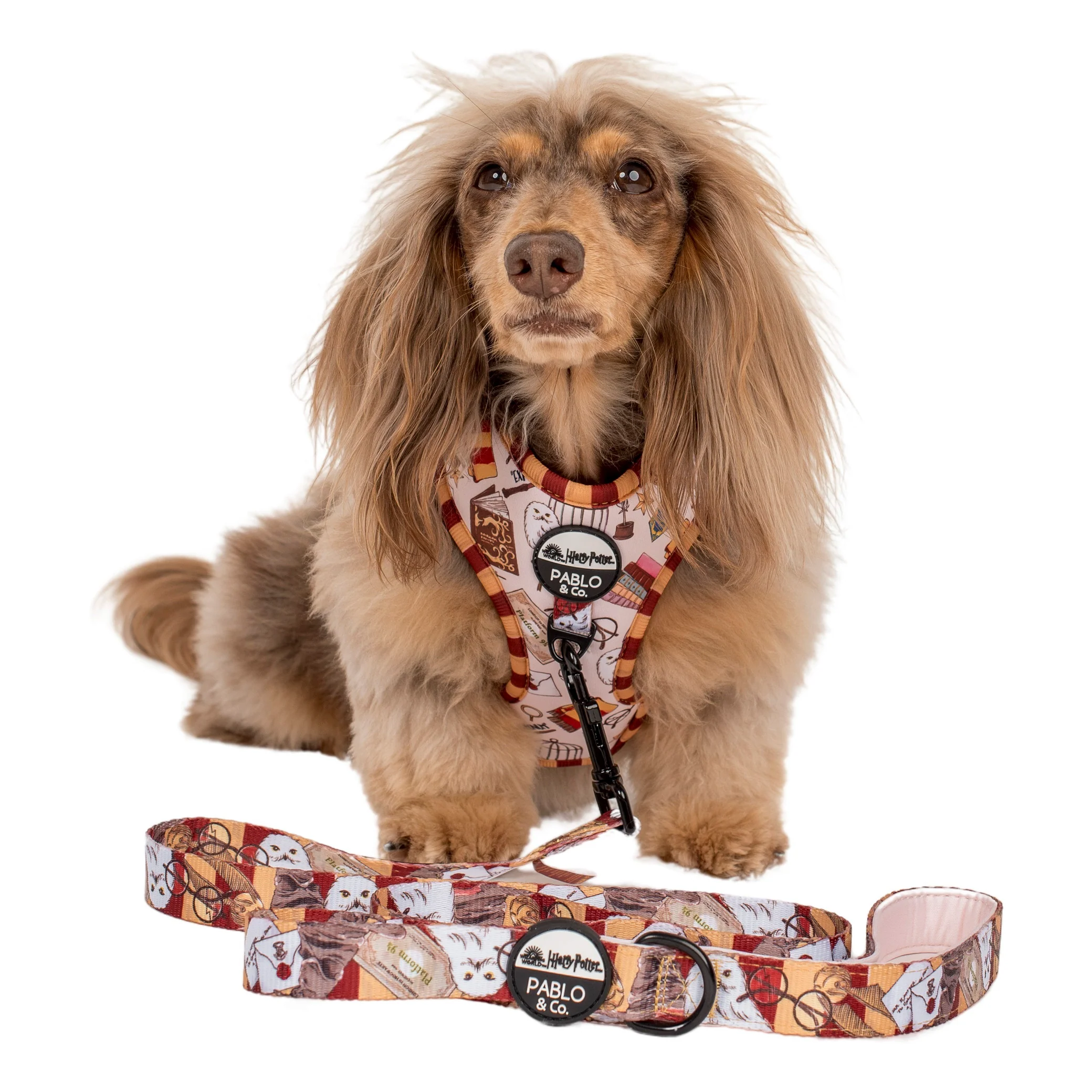 Harry Potter: Dog Leash - Image 3