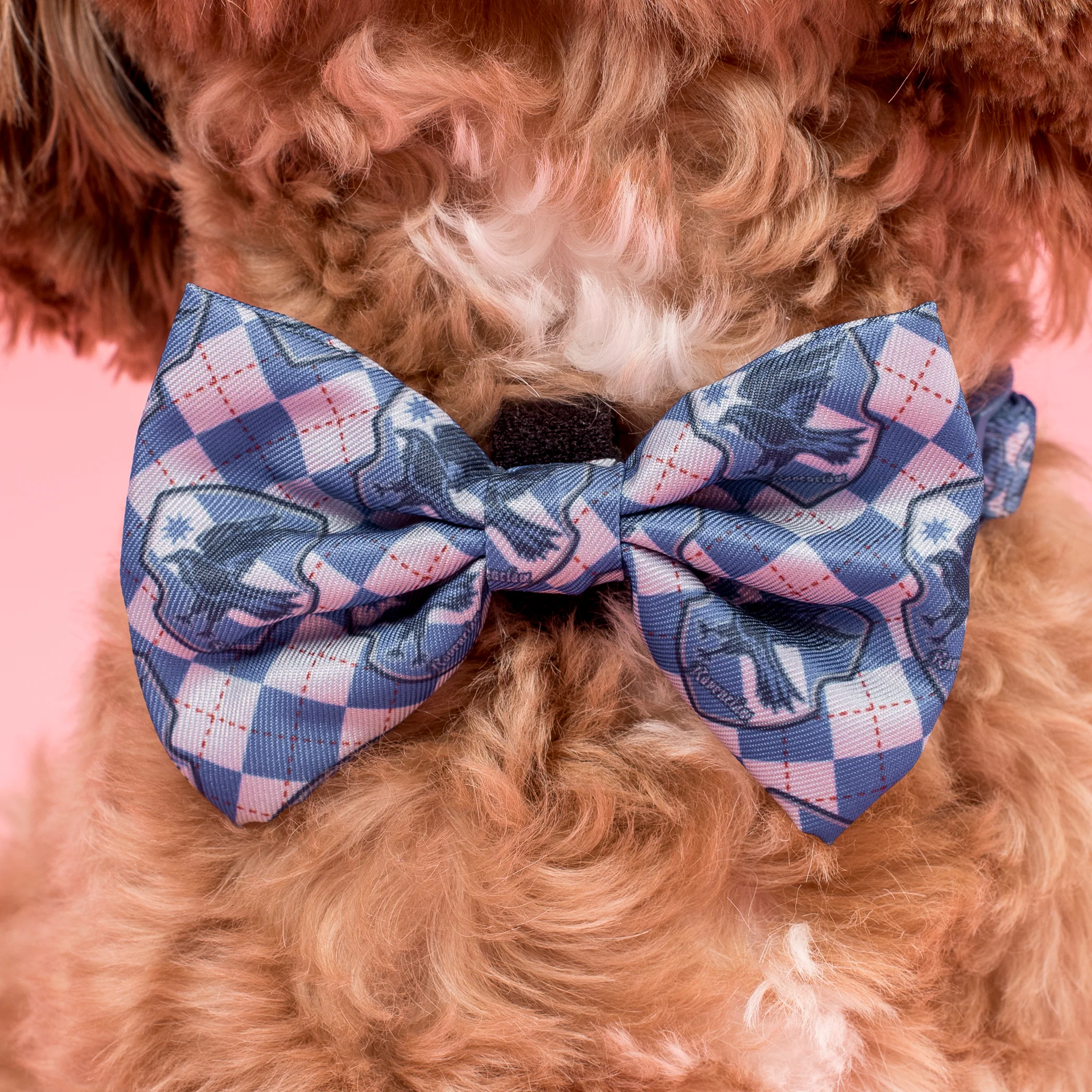 Harry Potter - Ravenclaw: Bow Tie - Image 2